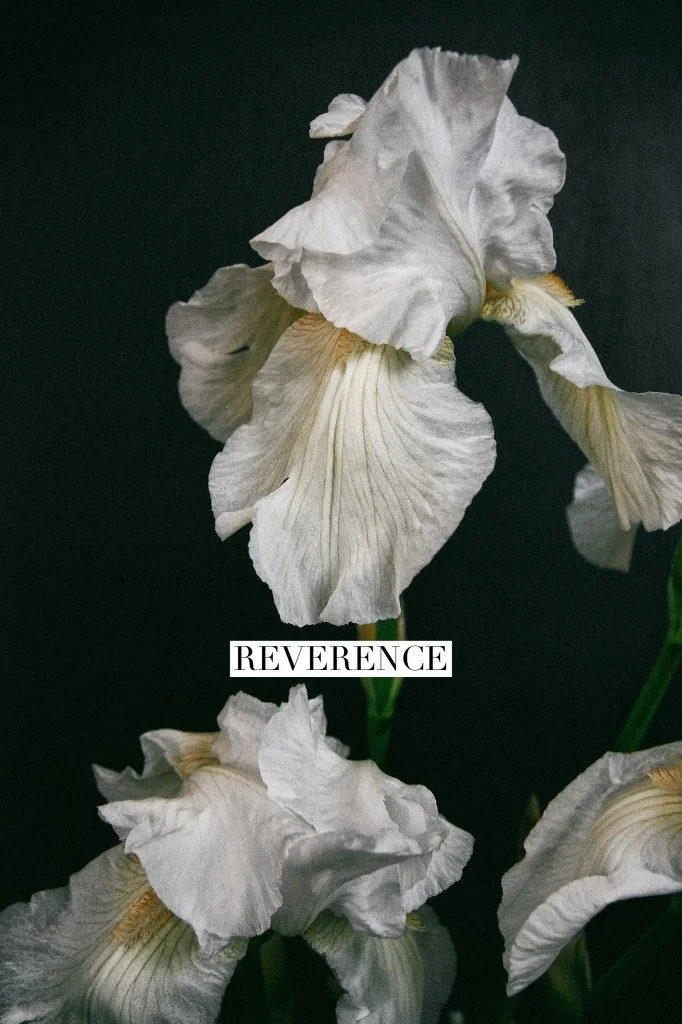 Reverence~ A Women's Flower Circle 