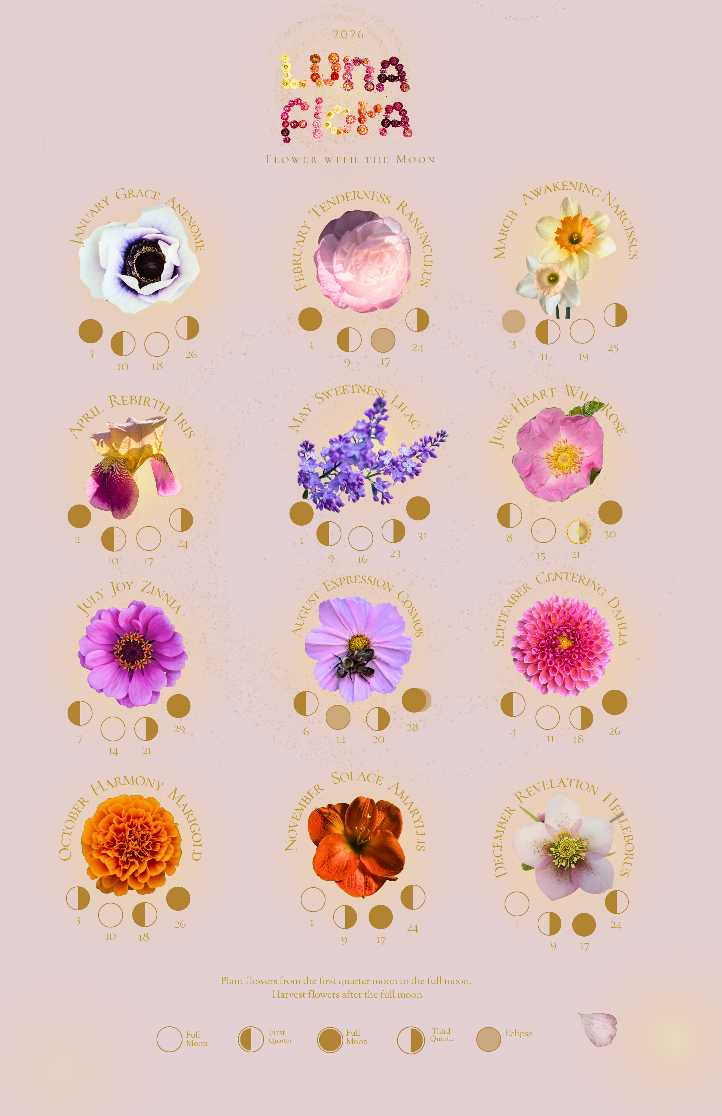 Luna Flora Calendar 2026  (11 x 17 in) (3).png