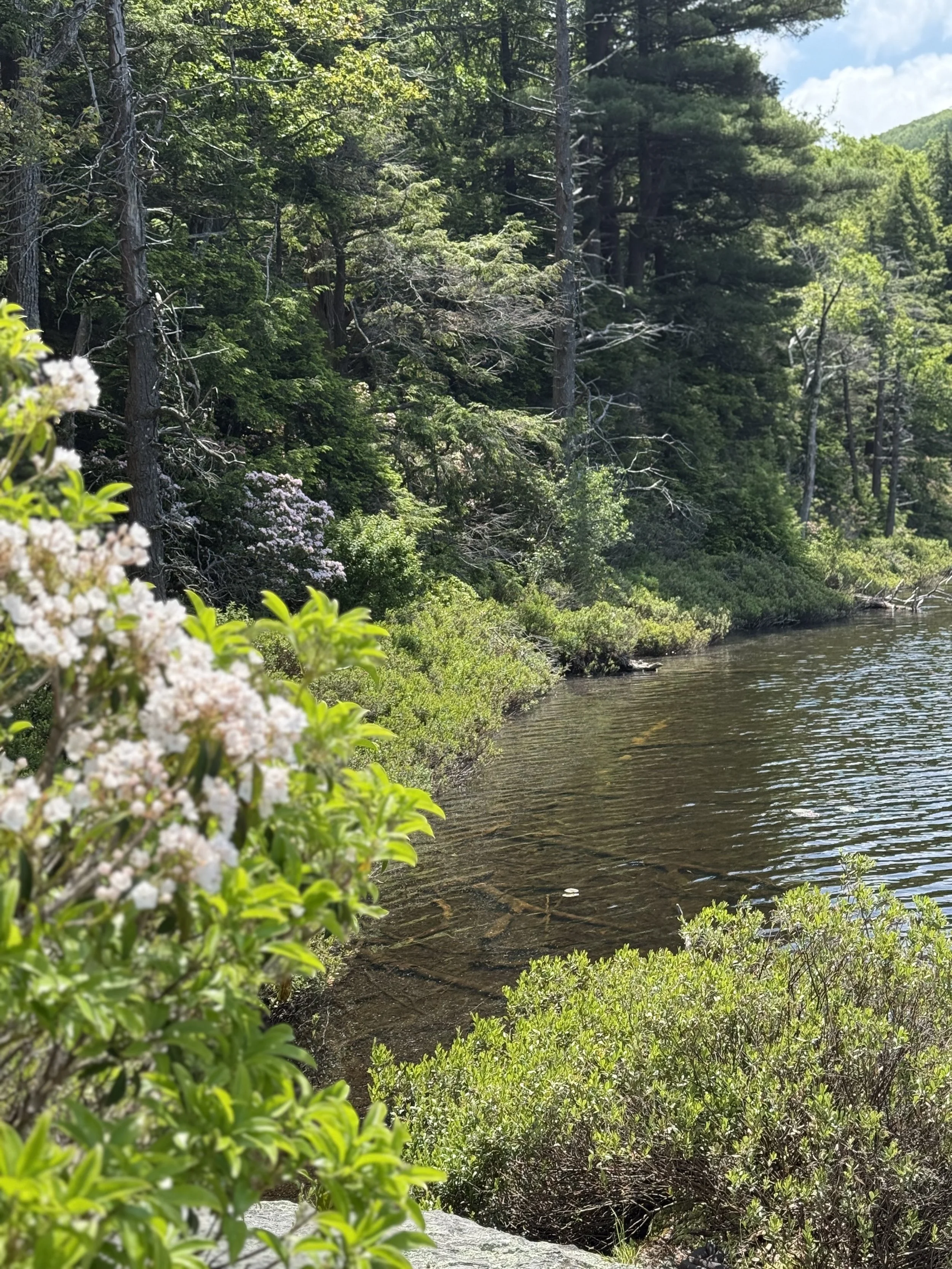 Wellspring Retreat with Lodging for 2 Nights