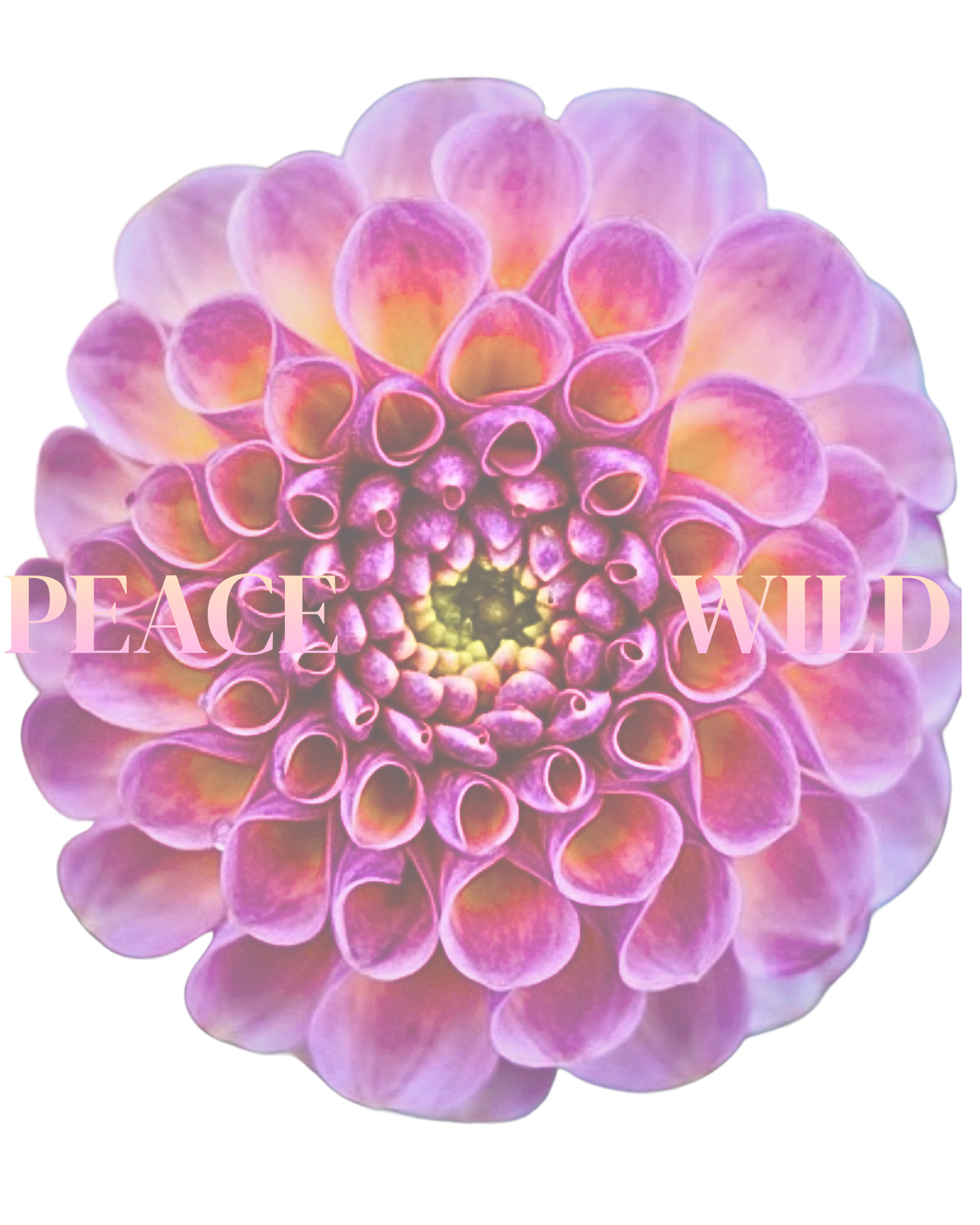 Peace of wild