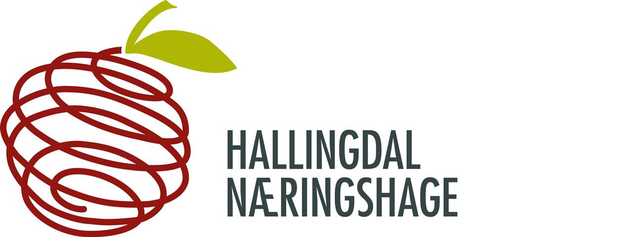 EUROPE-NO-Hallingdal Næringshage AS.jpg