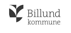 Billund Kommune.jpg