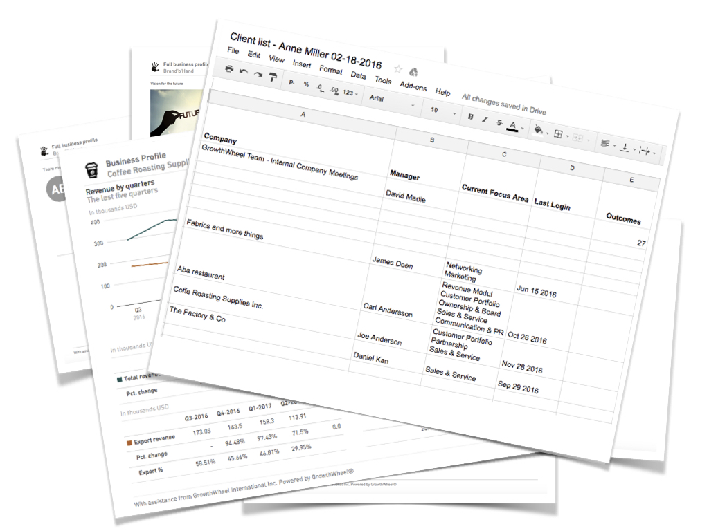 GrowthWheel Online Release- Financials.005.jpeg