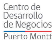 Centro de Desarrollo de Negocios Puerto Montt.png
