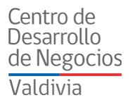 Centro de Desarrollo de Negocios Valdivia.png
