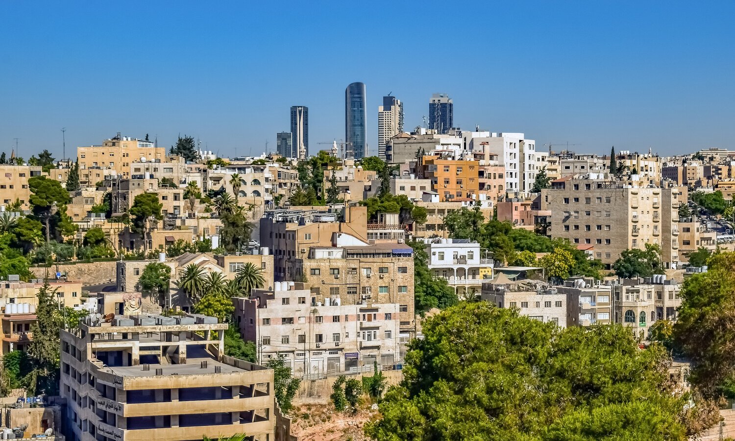 trofast Vend tilbage tæppe Amman, Jordan — GrowthWheel