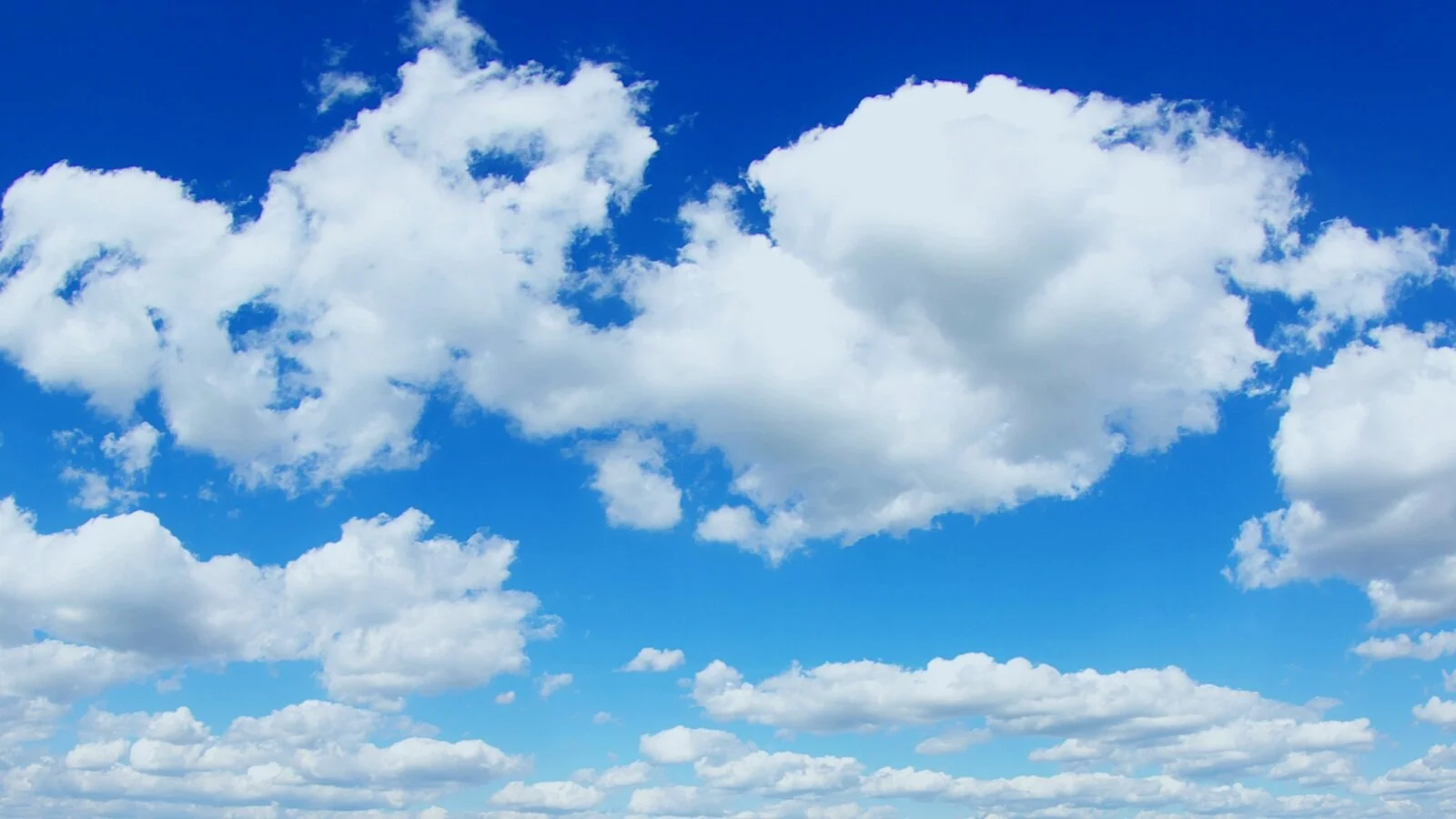 Live Online Certification (Africa)