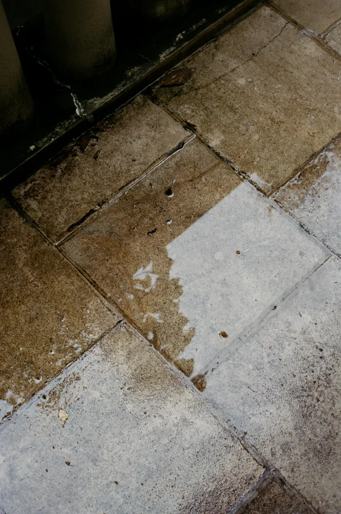pluviophile_001.jpg
