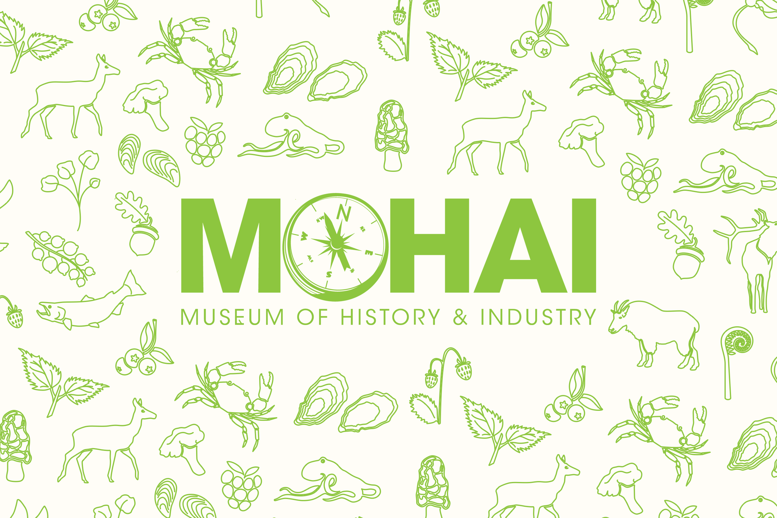 mohai-INTRO-image.png