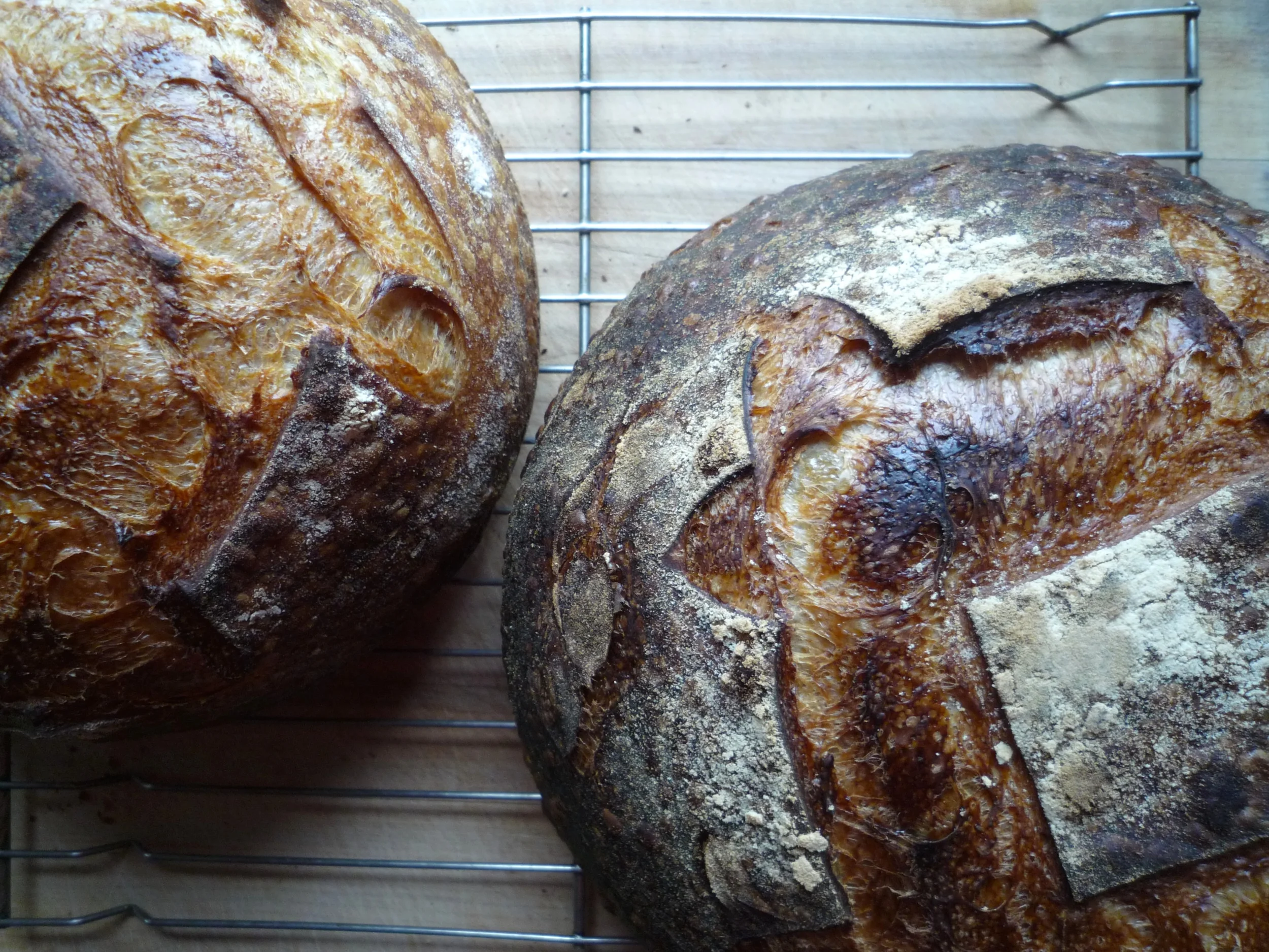 country loaves