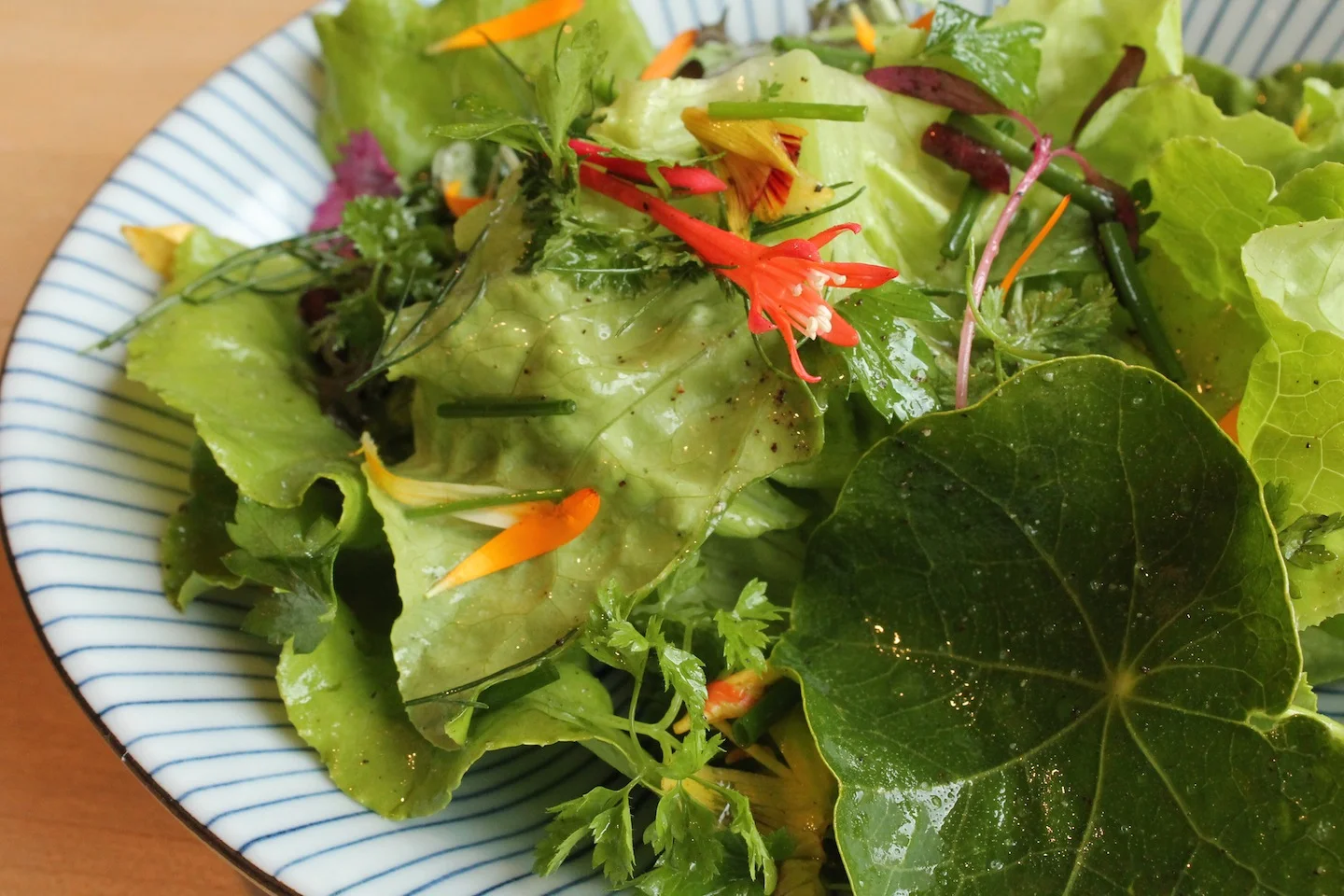 salade Olney