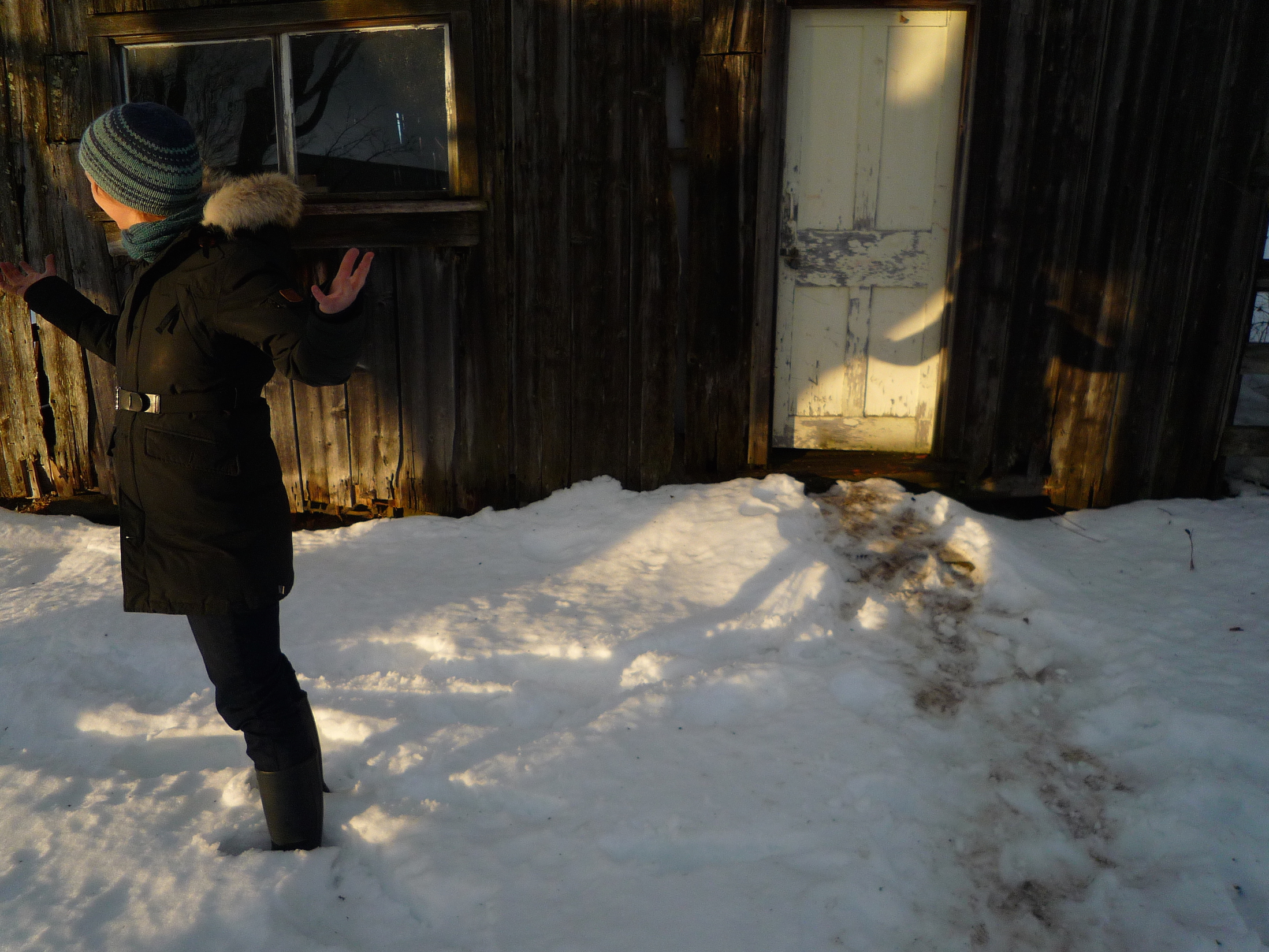 fig. a: sunlight on Vermont 1
