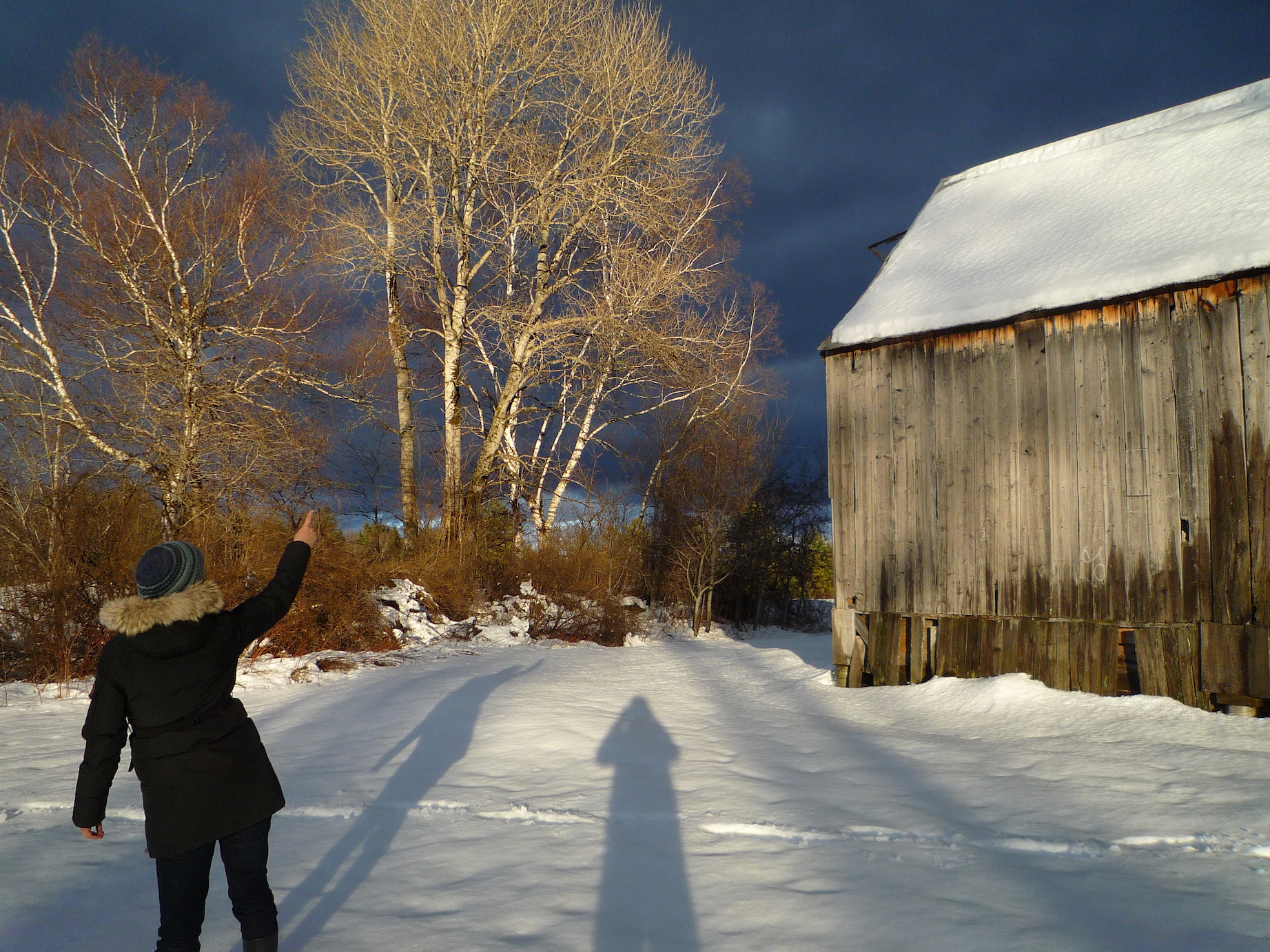 fig. c: sunlight on Vermont 2