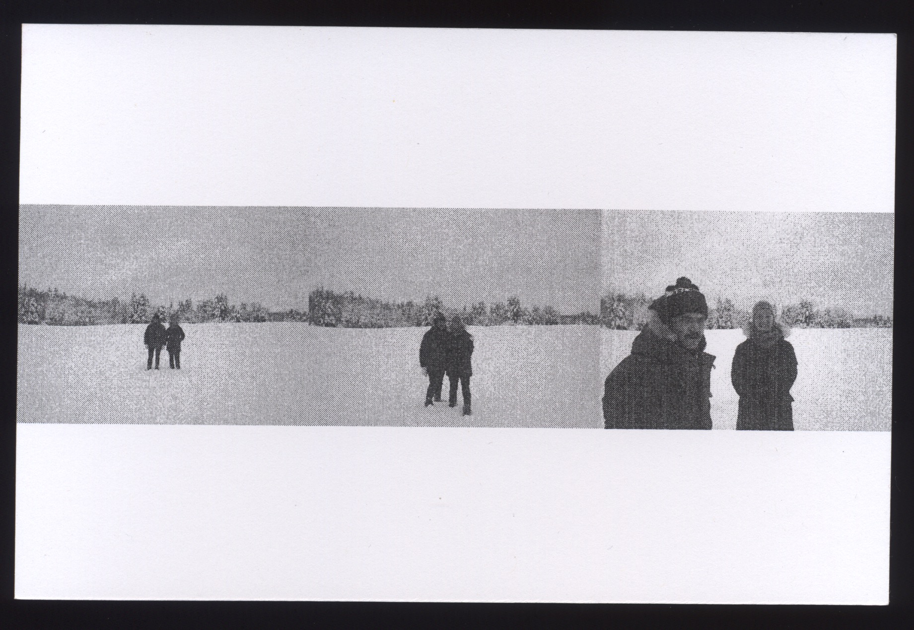 fig. e: snow birds