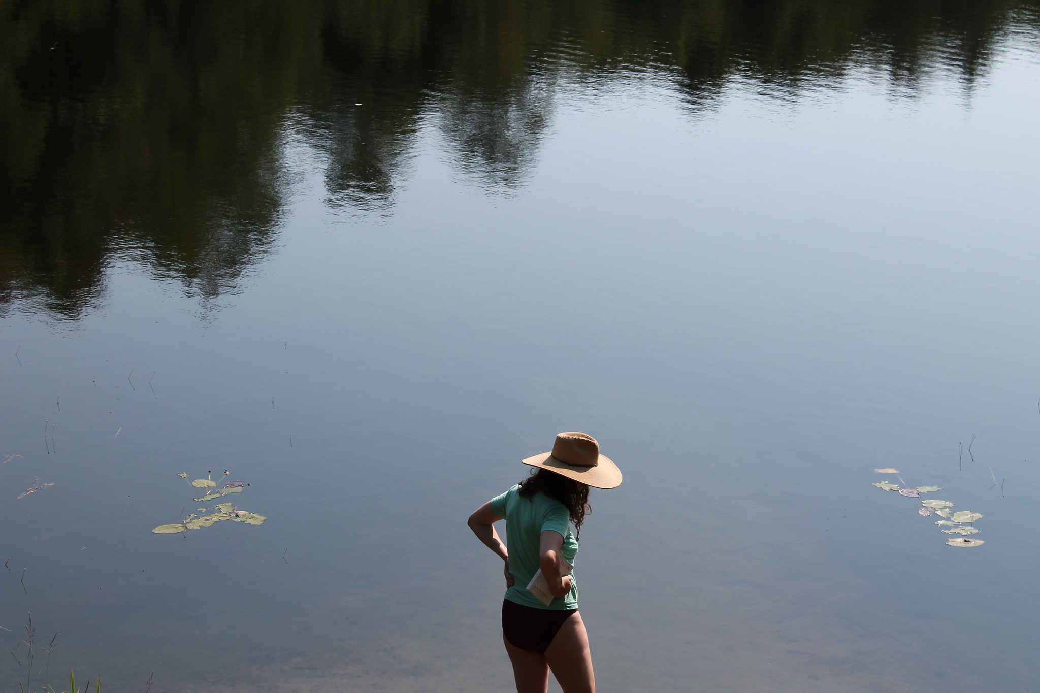 fig. a: lake girl 1