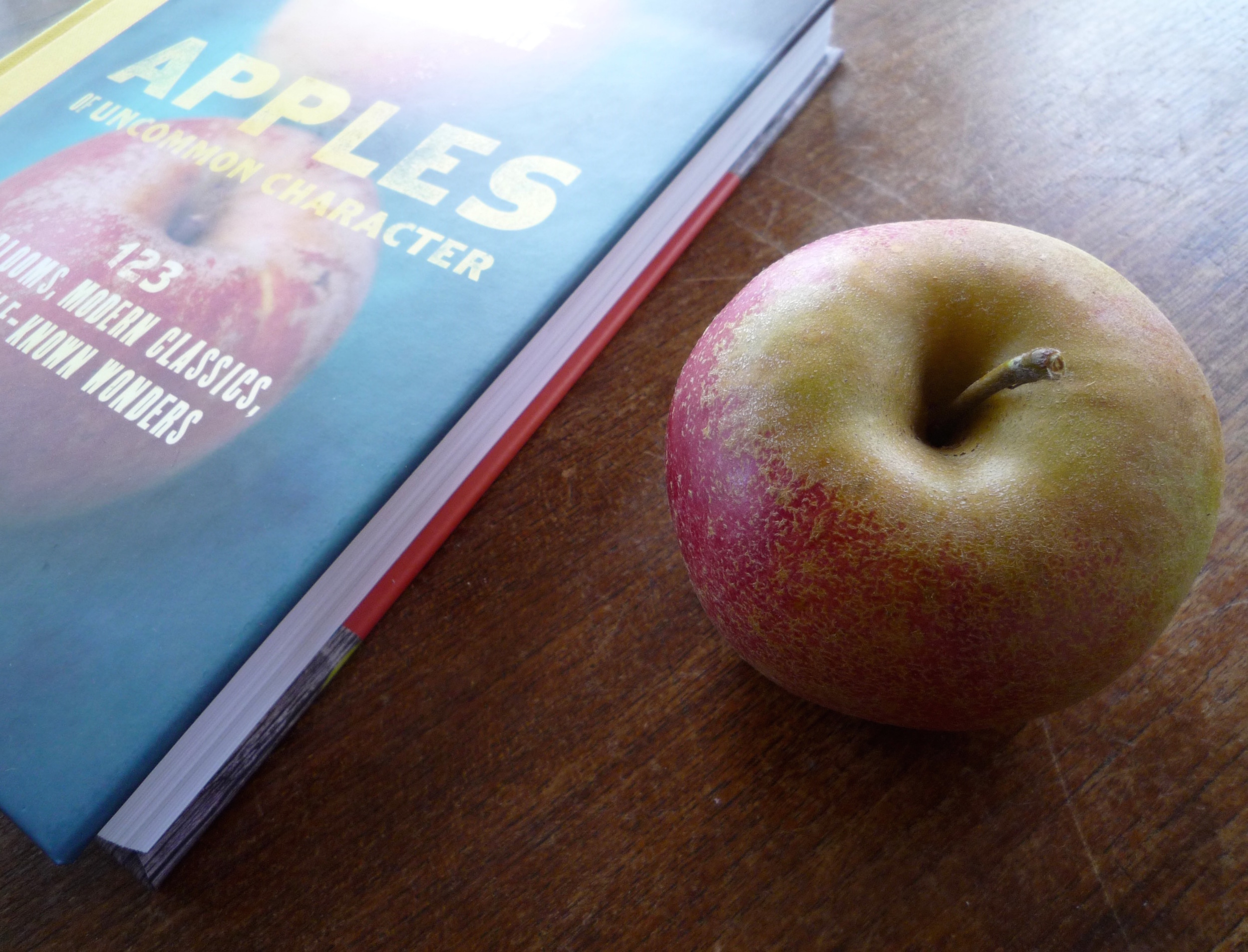 Apples of Uncommon Character: Heirlooms, Modern Classics, and Little-Known  Wonders