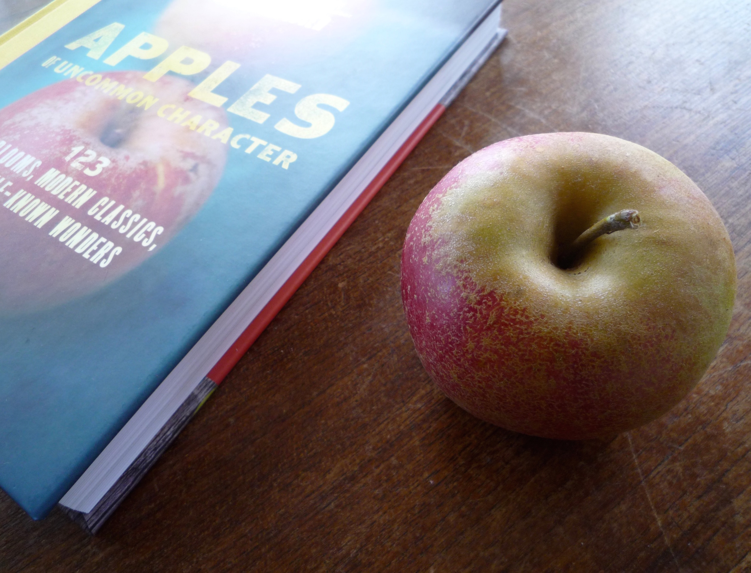 fig. b: apples of uncommon character