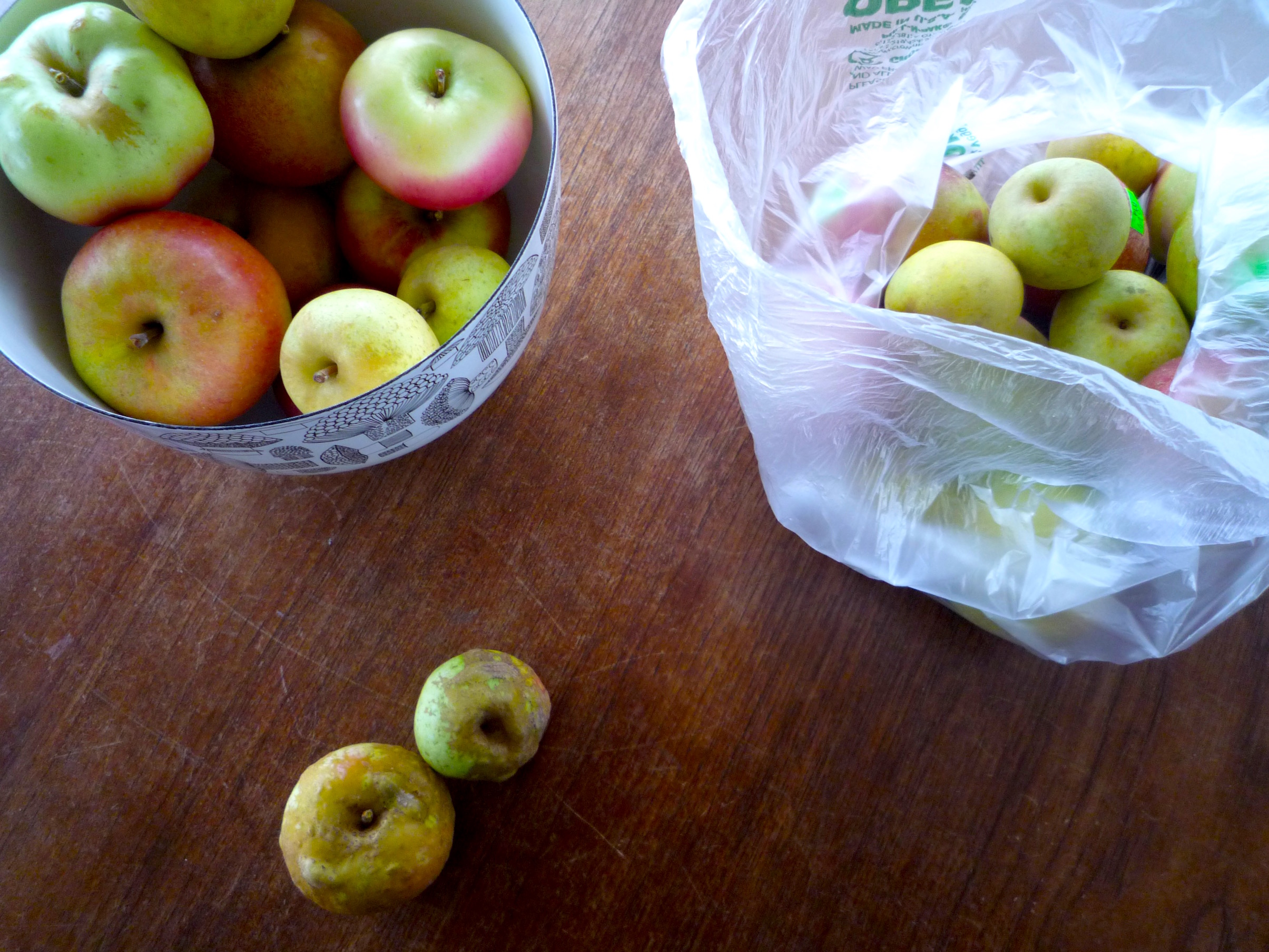 fig. a: papa's got a brand-new bag