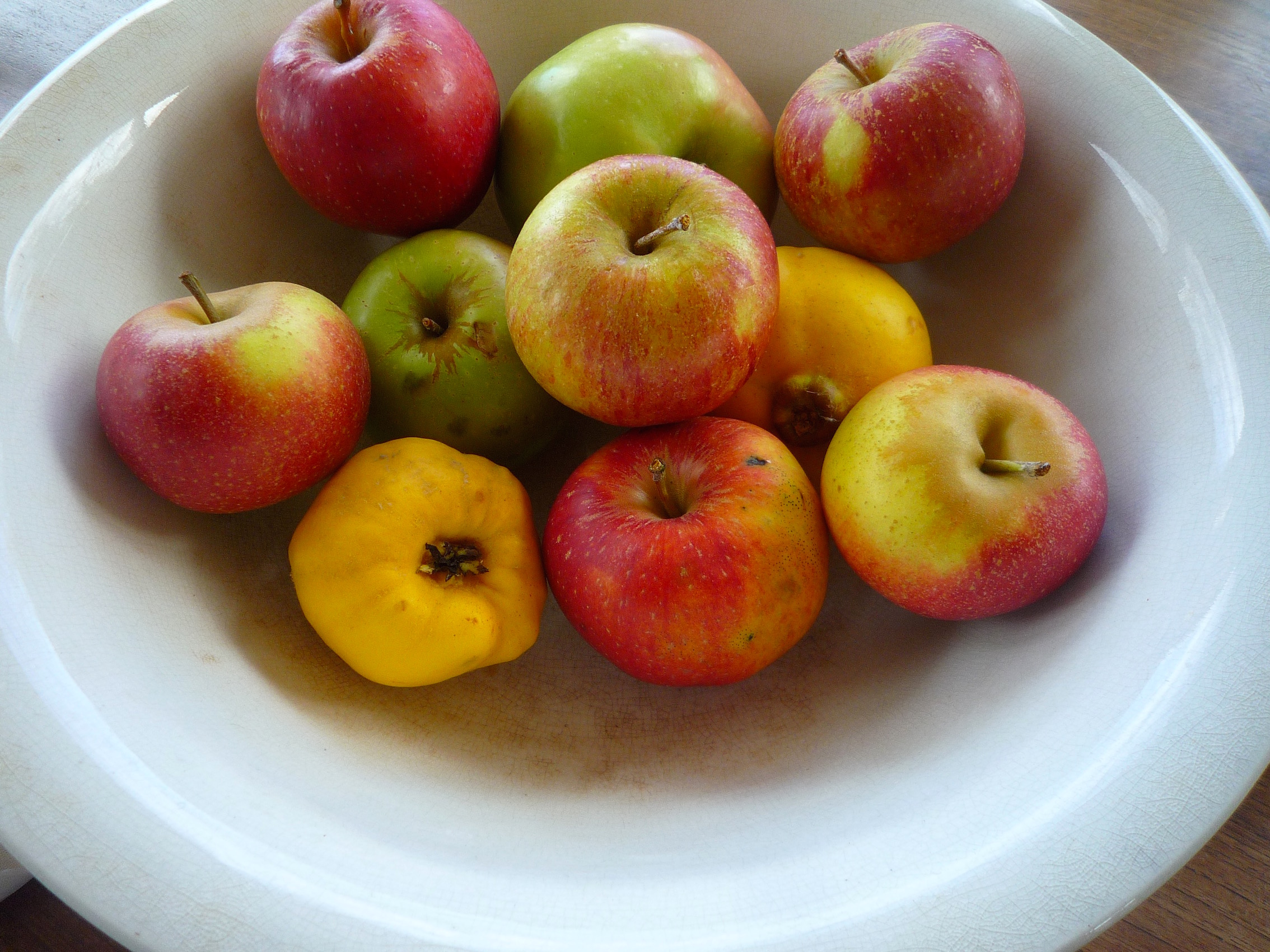 apples, VT
