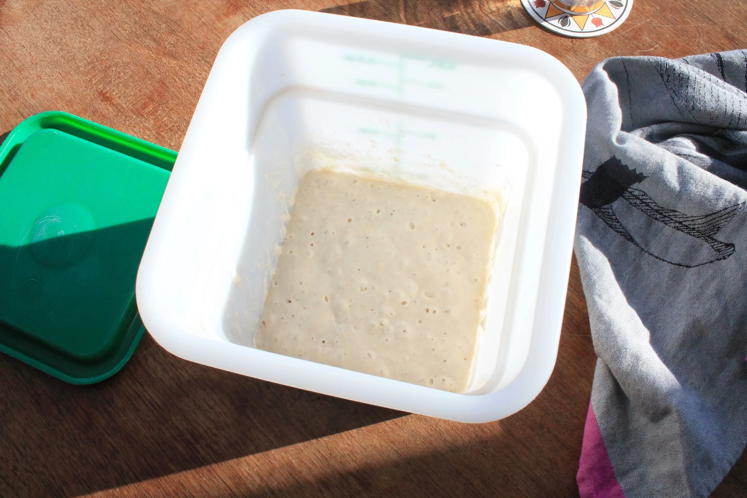 fig. c: sourdough starter, ready for action