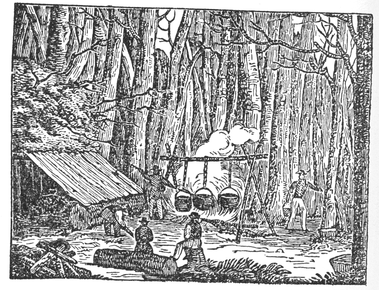 fig. a: maple sugaring in the northern woods