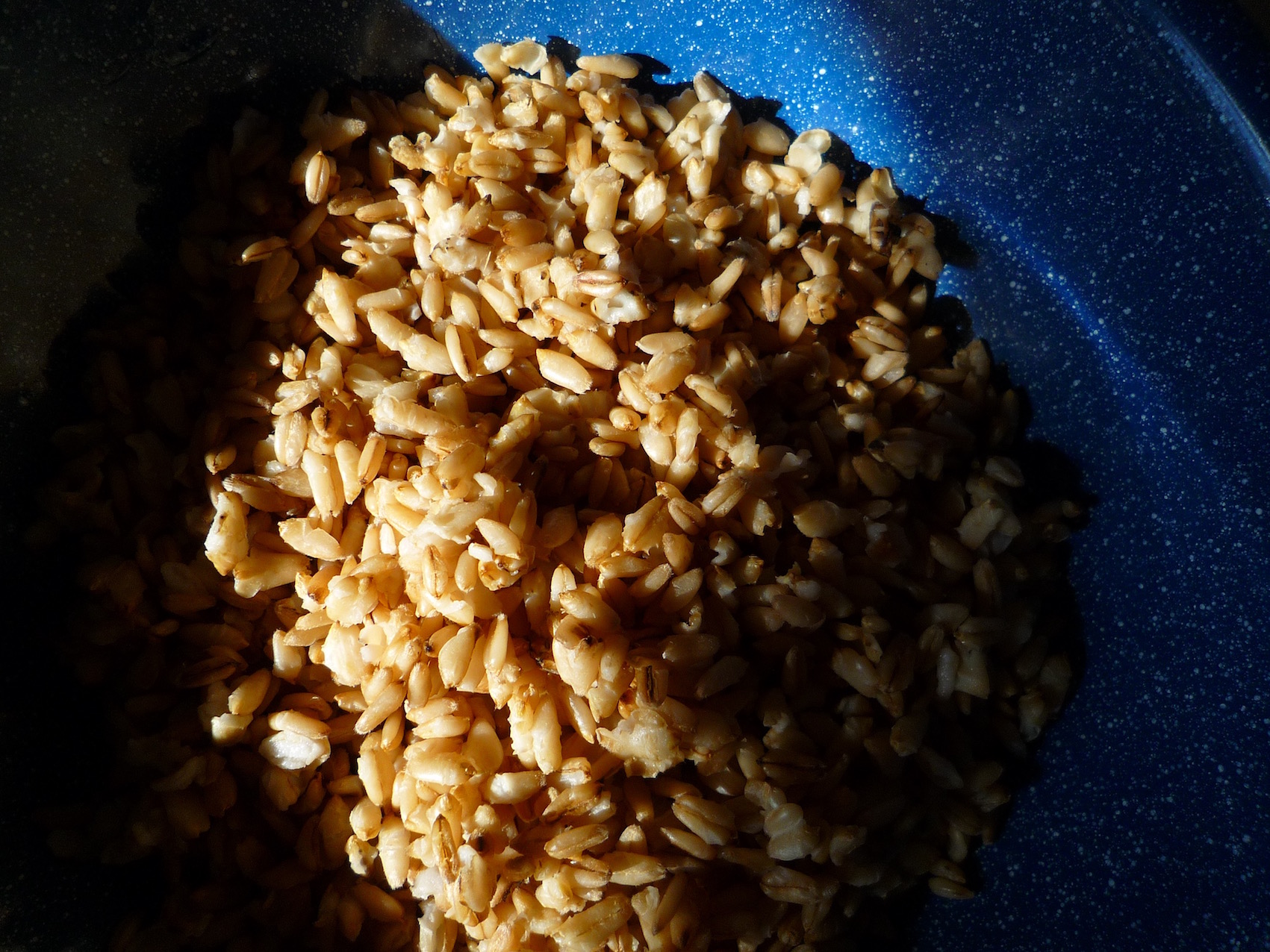 fig. i: cooked oats