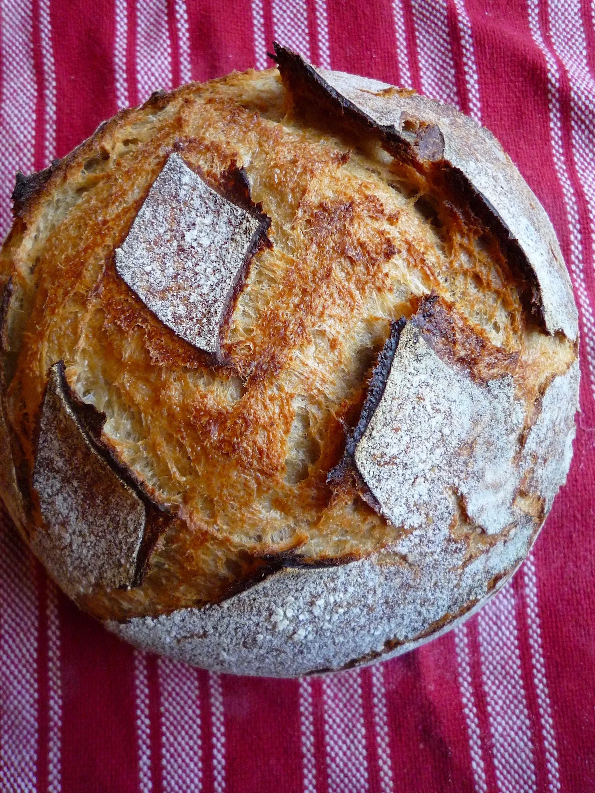 fig. f: Magog country loaf finished