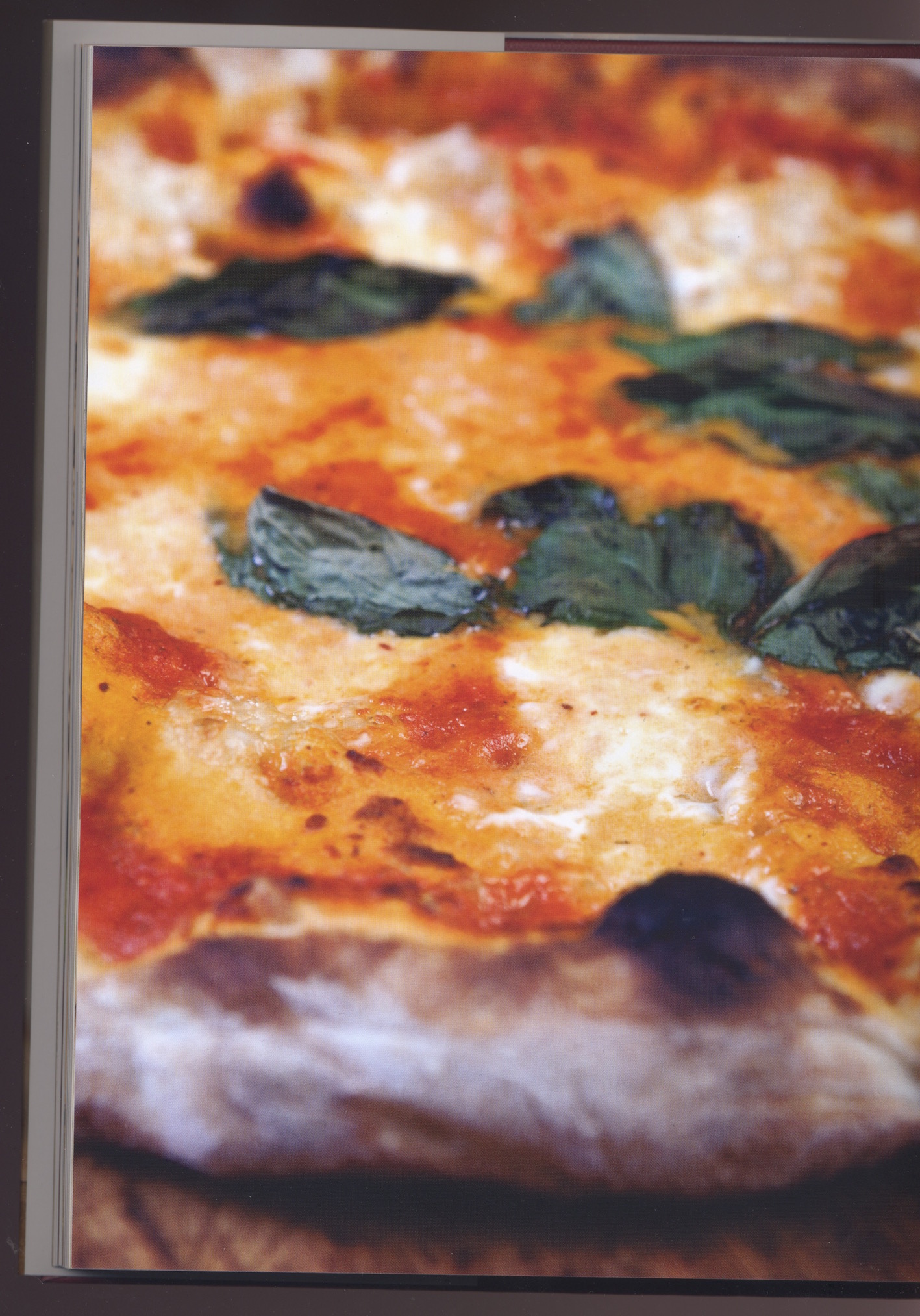 fig. b: FWSY 's pizza margherita