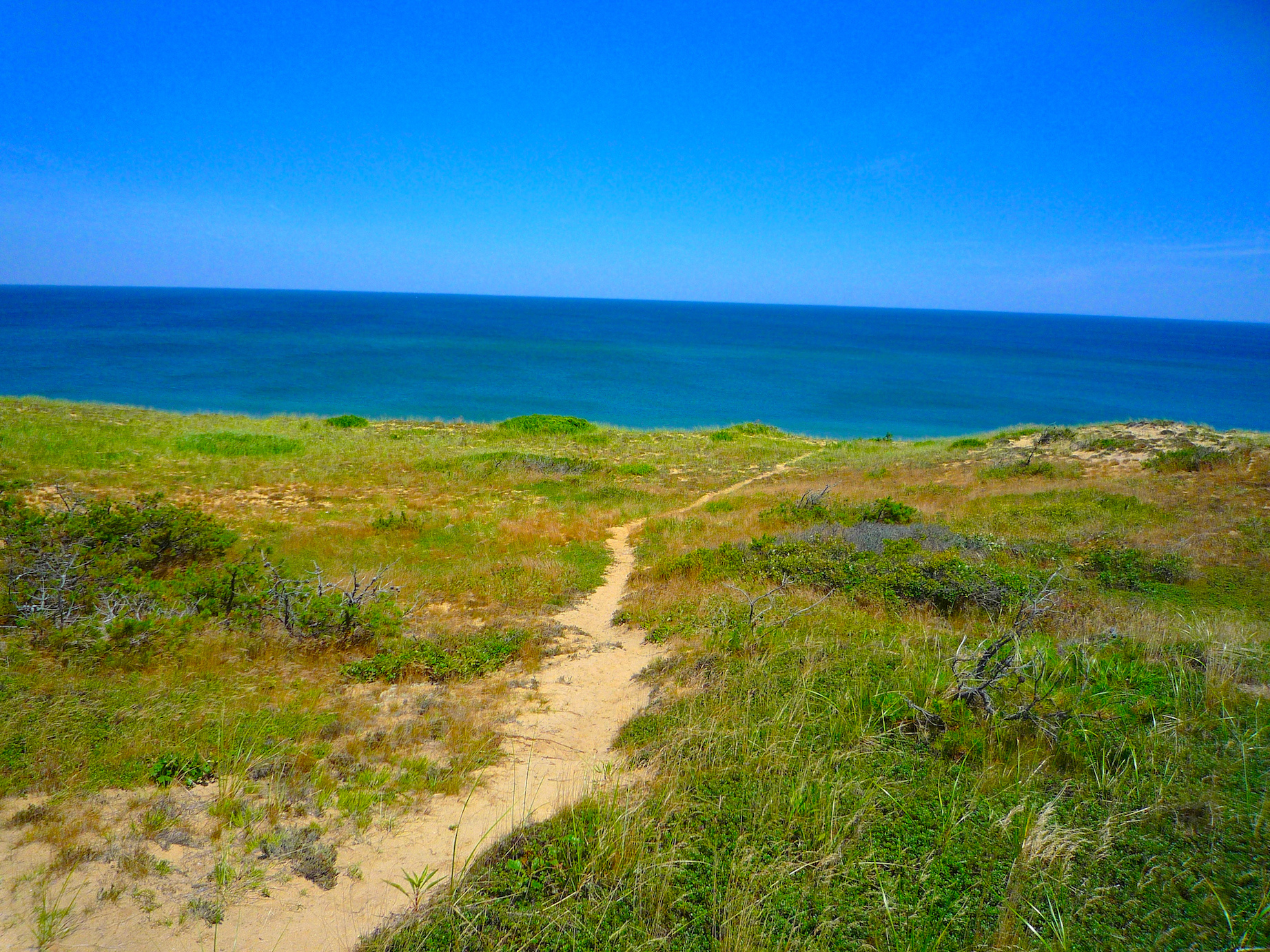 fig. b: return to paradise