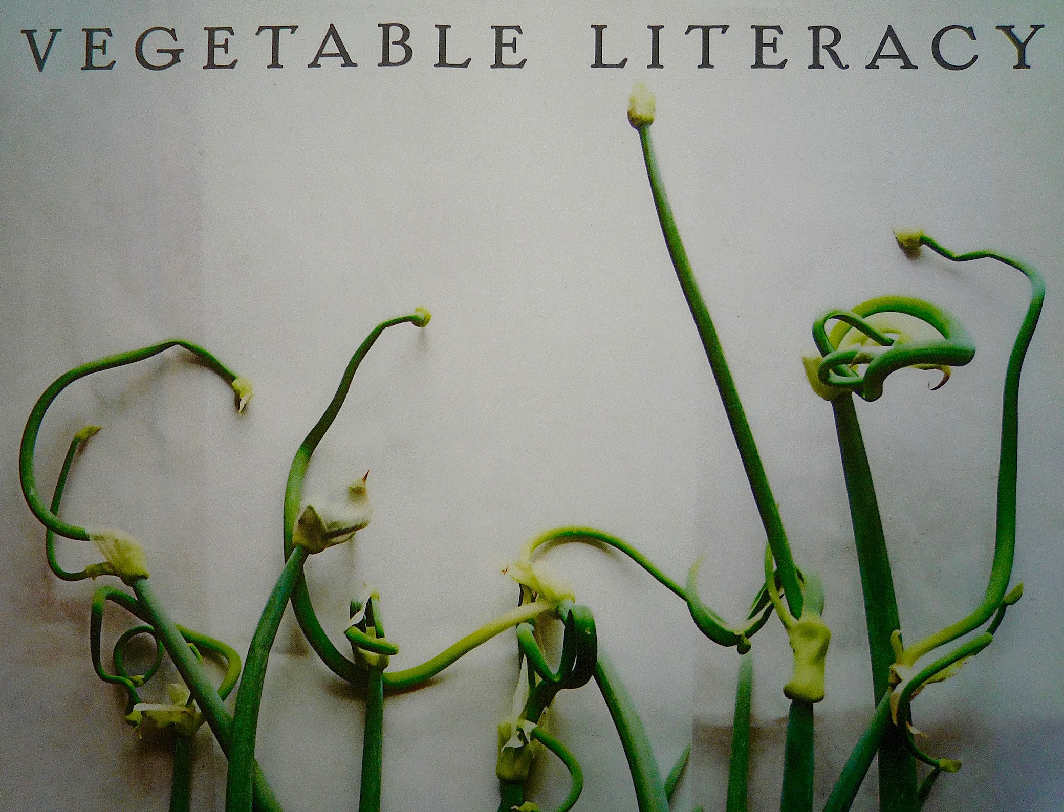 fig. a: veg lit