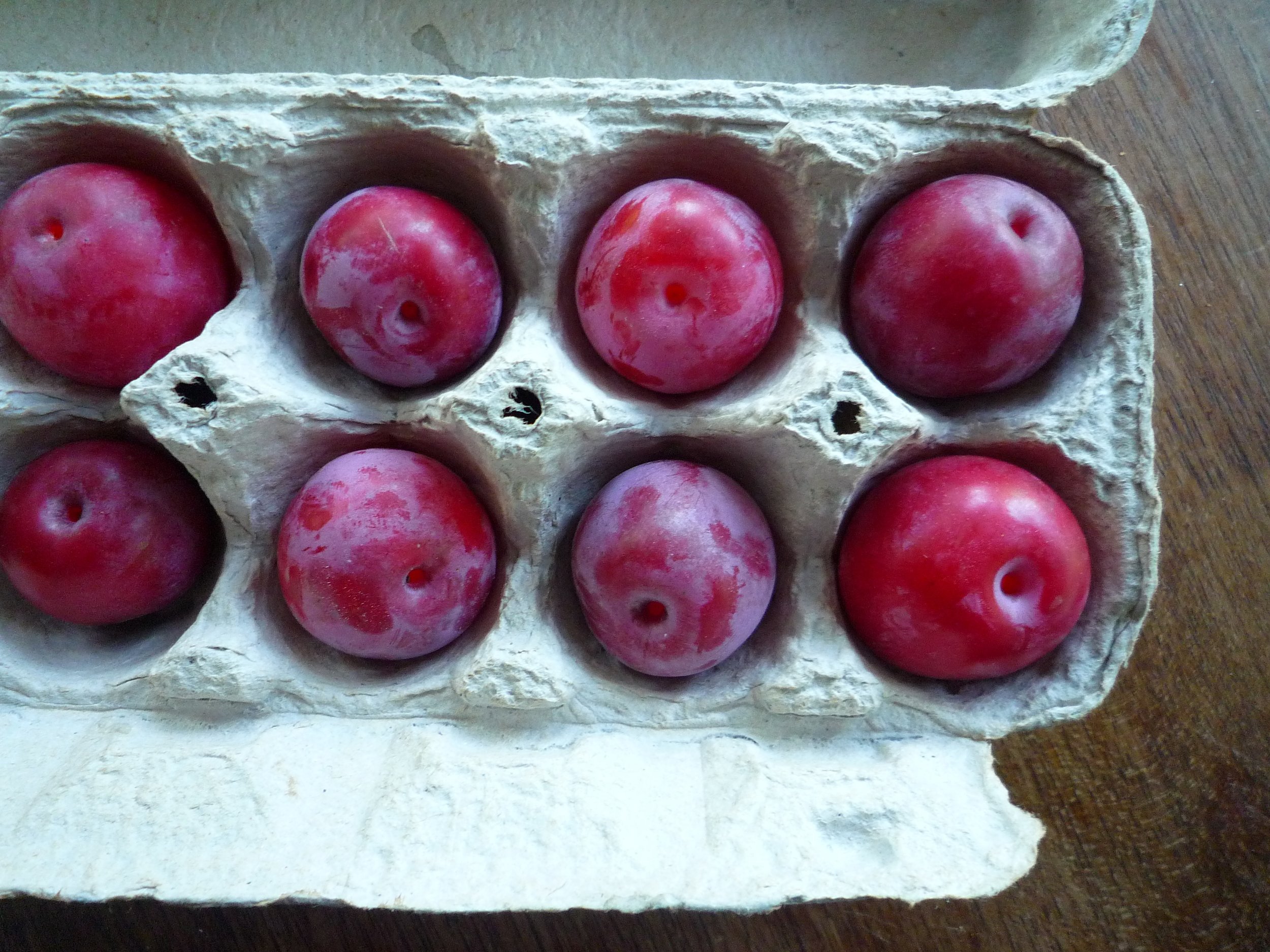 fig. a: fresh plums