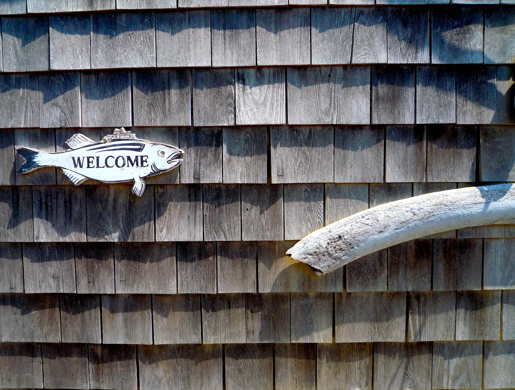 welcome cape cod.jpg
