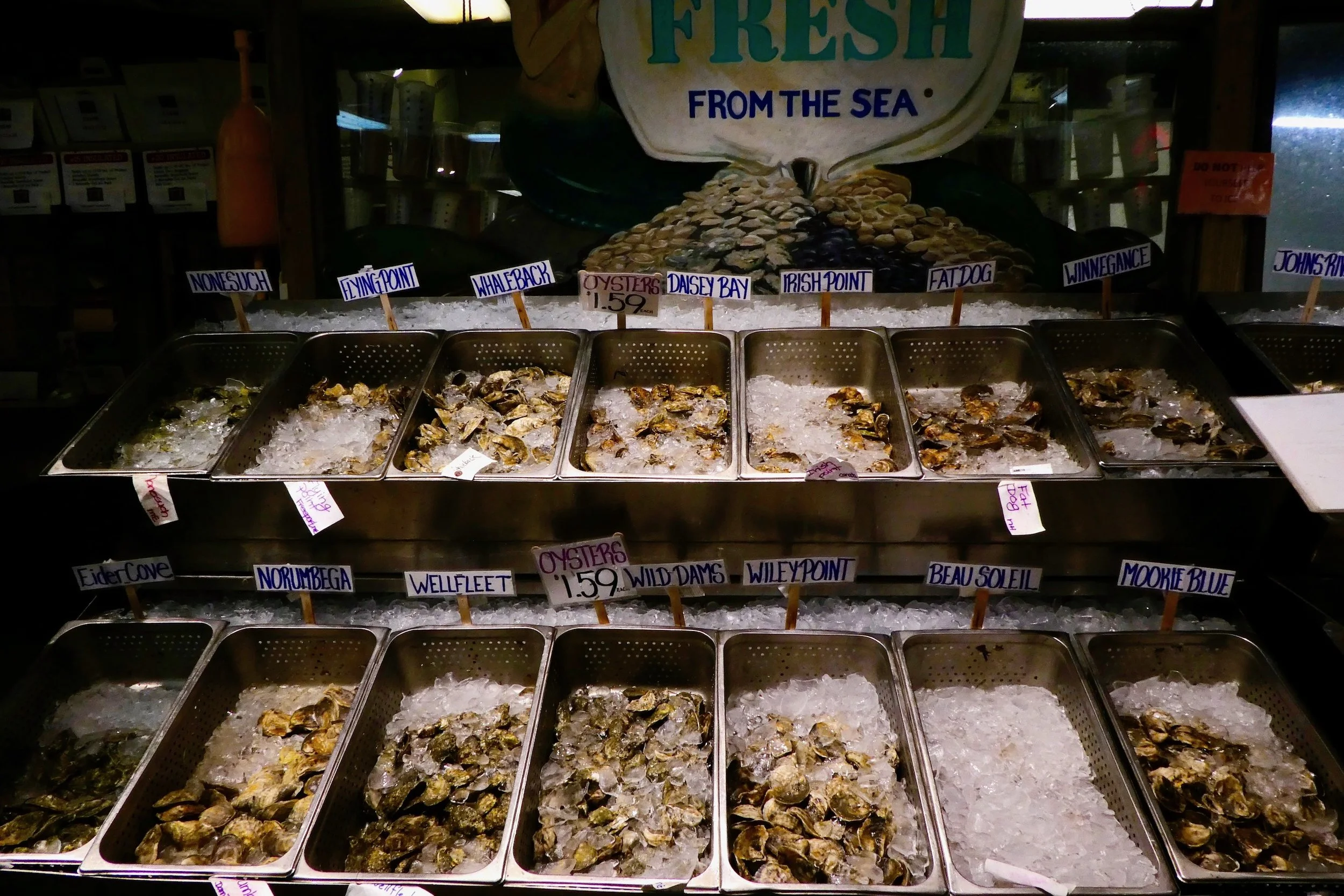 harbor fish.jpeg