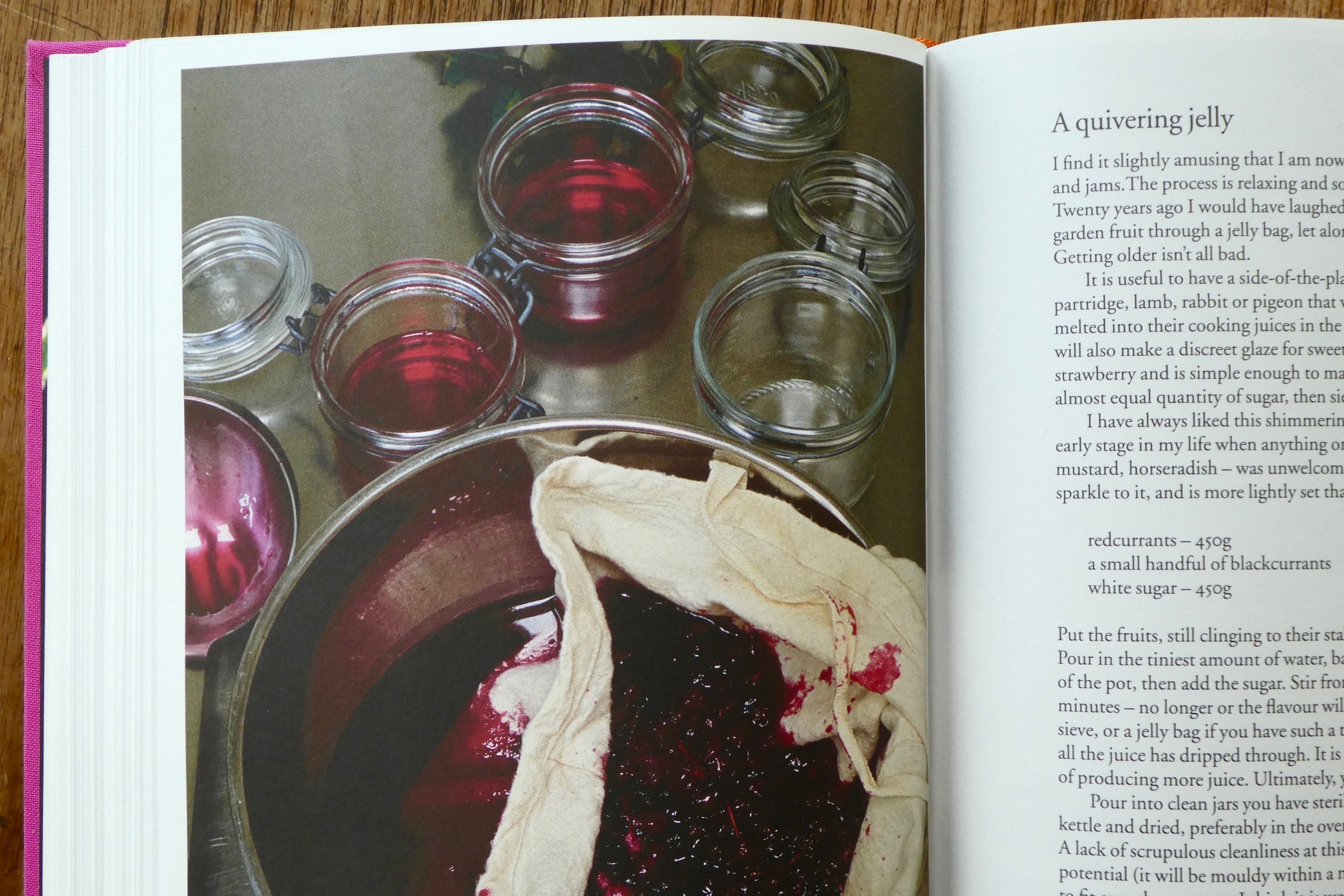 fig. c: Nigel’s jelly bag