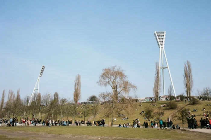 AllanLewis_MarketStadium.jpg