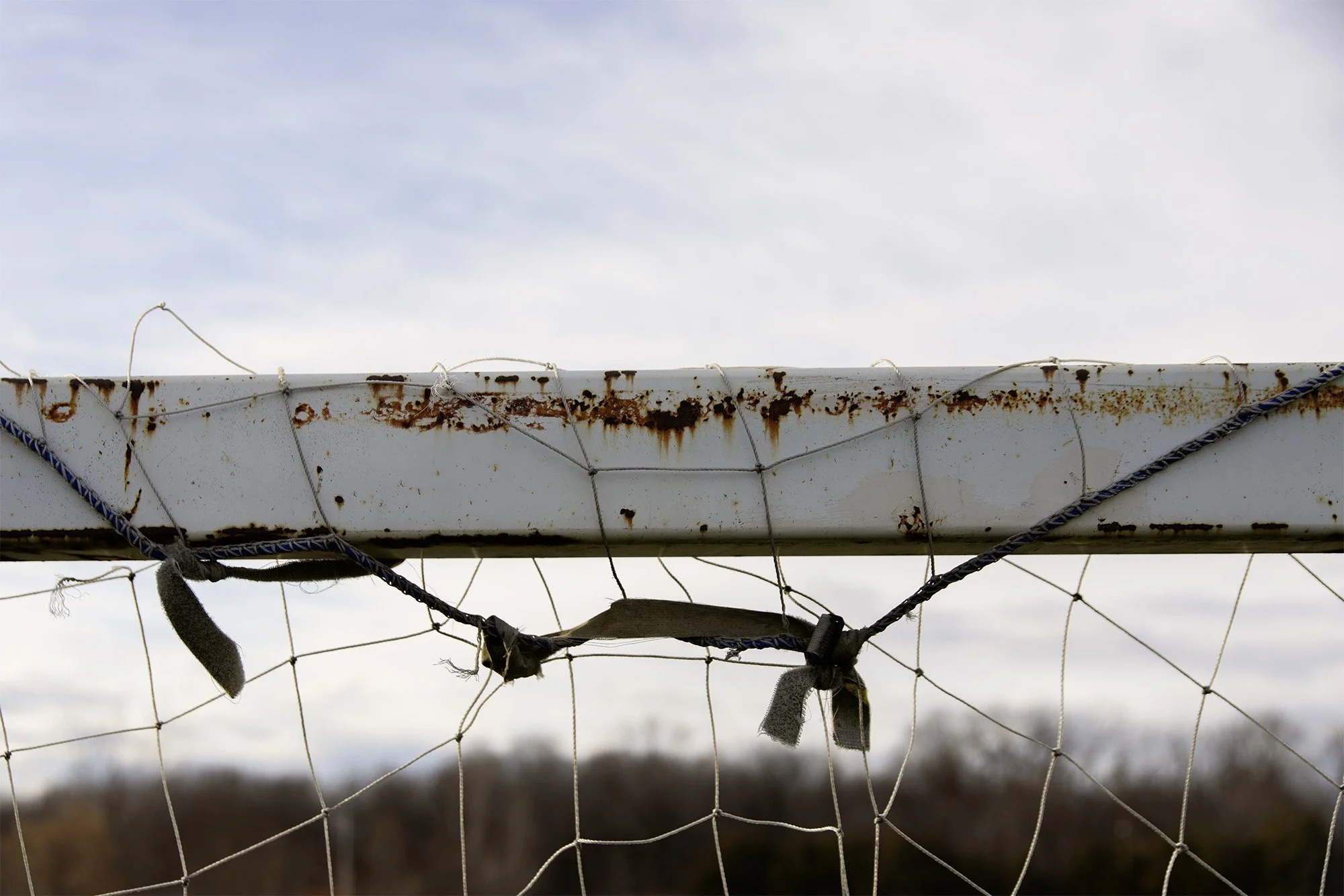 Visitors_April 4_1.jpg