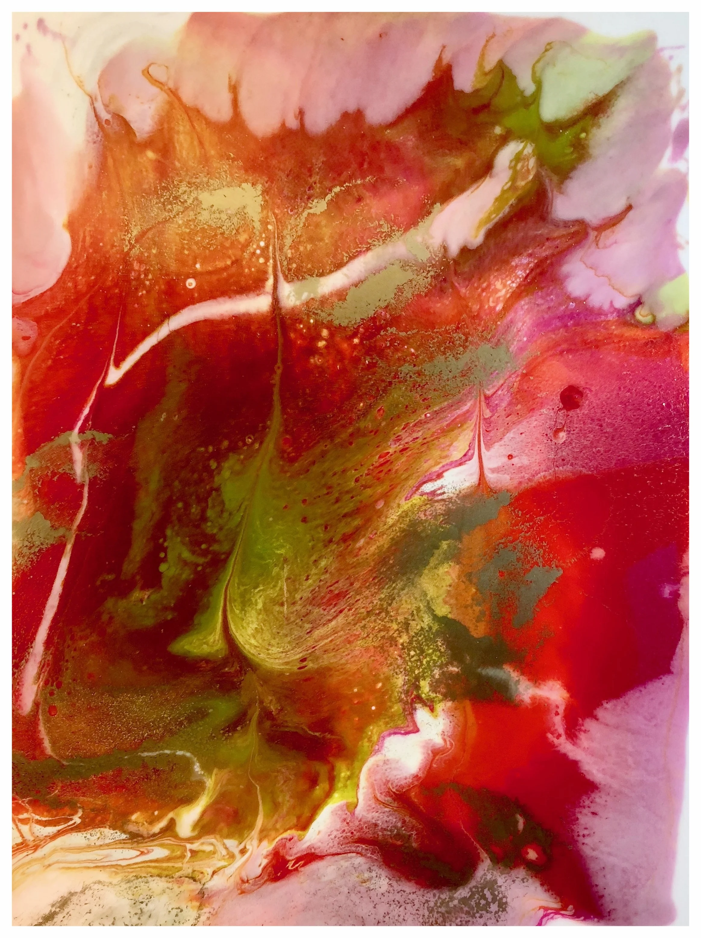 red flower 1