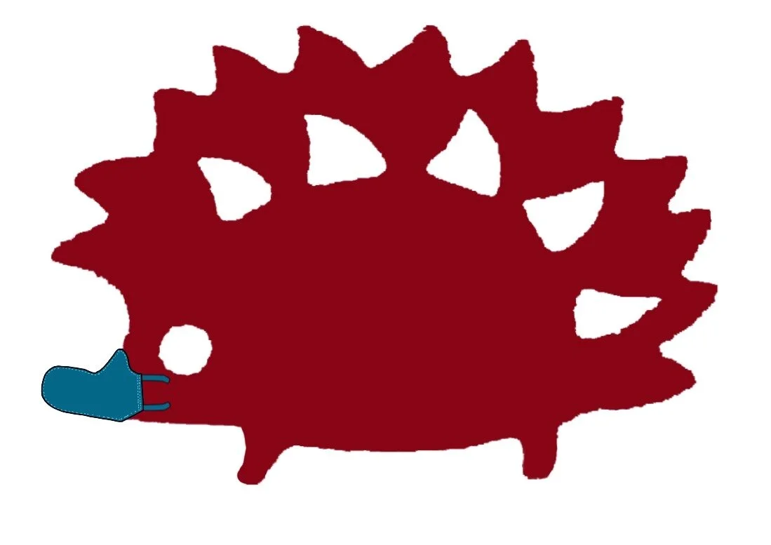 The Hedgehog is Wearing a Mask