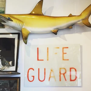 LIFE GUARD