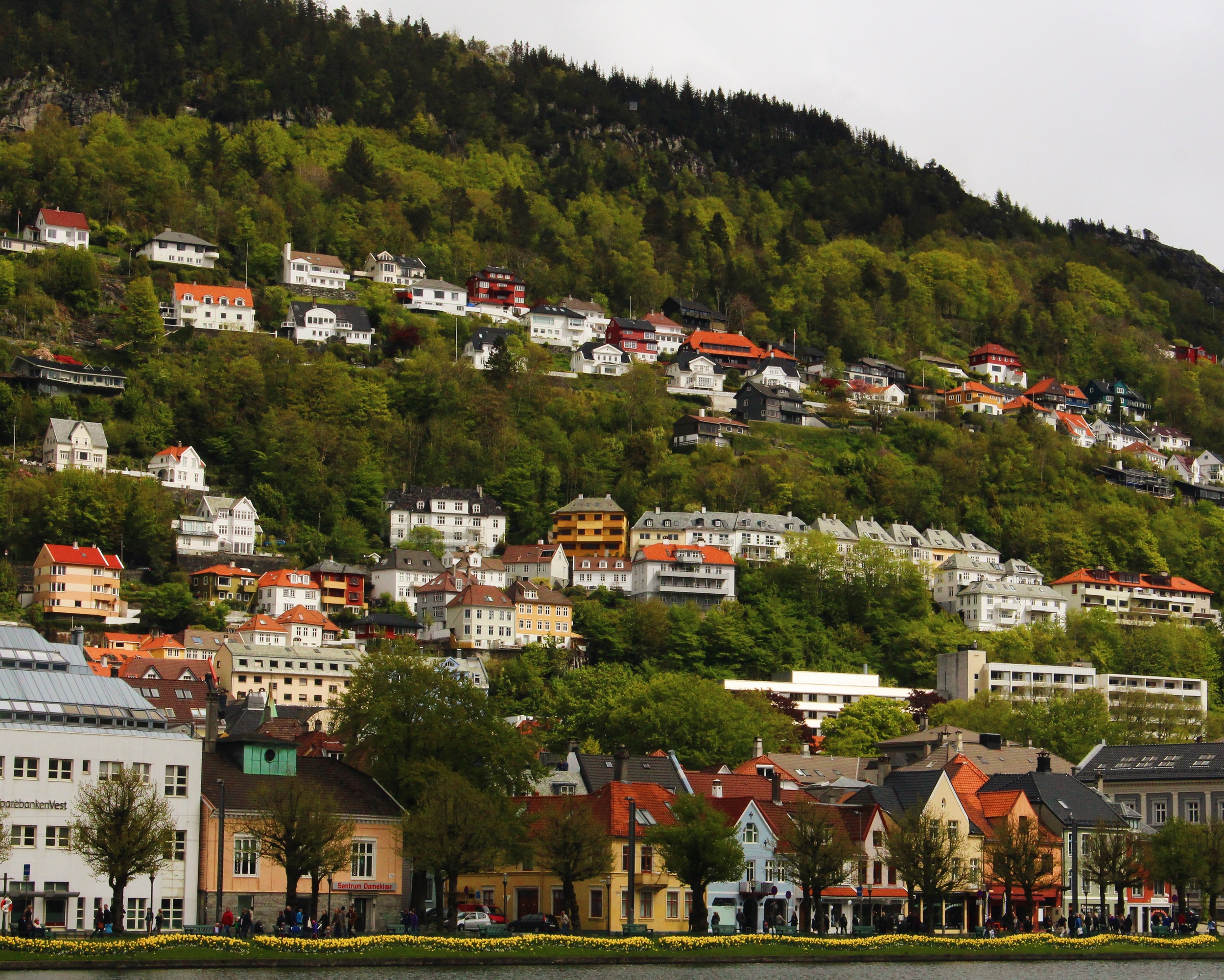 norwaybergen1.jpg