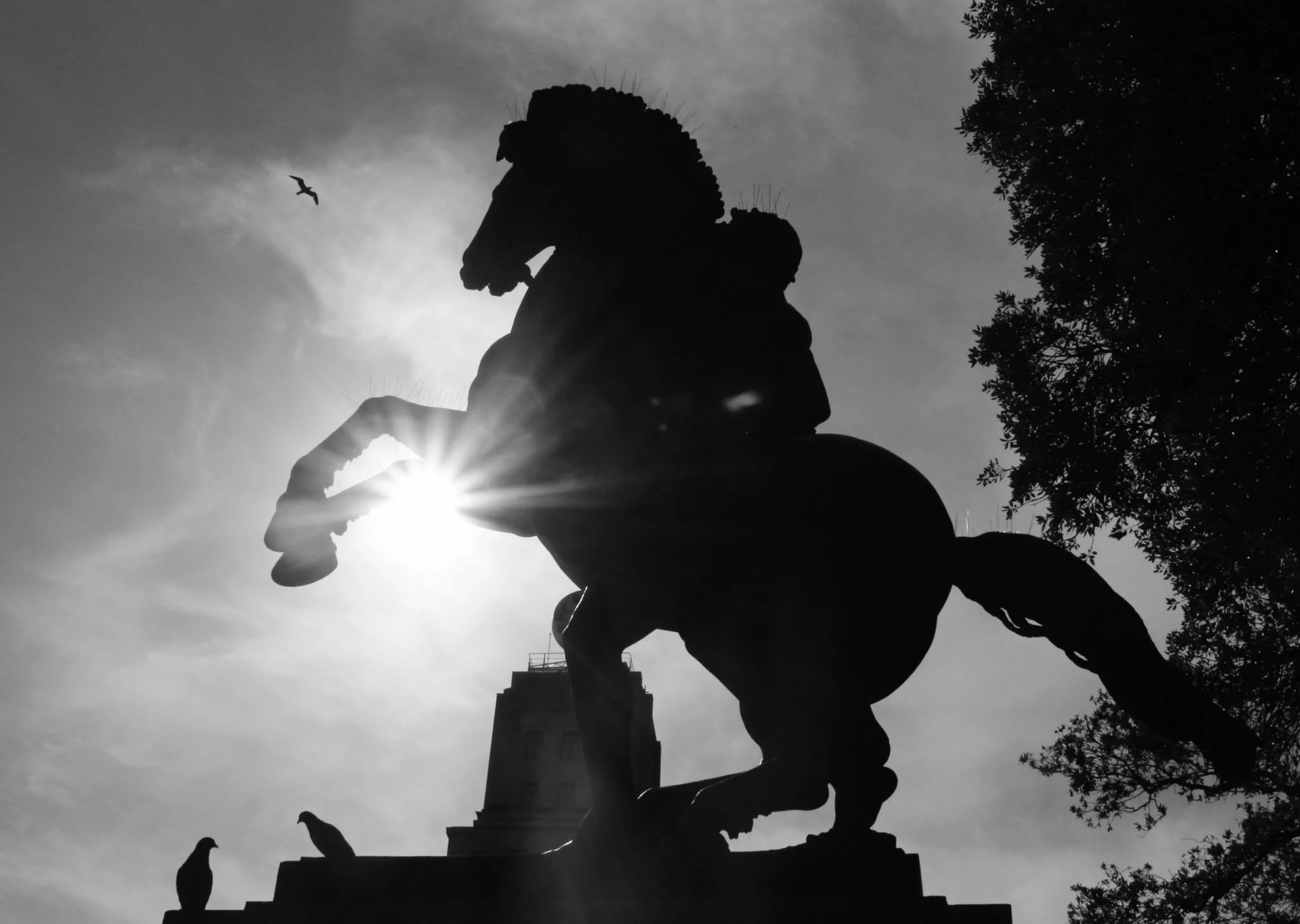 barcelonaplacadecatalunya.jpg
