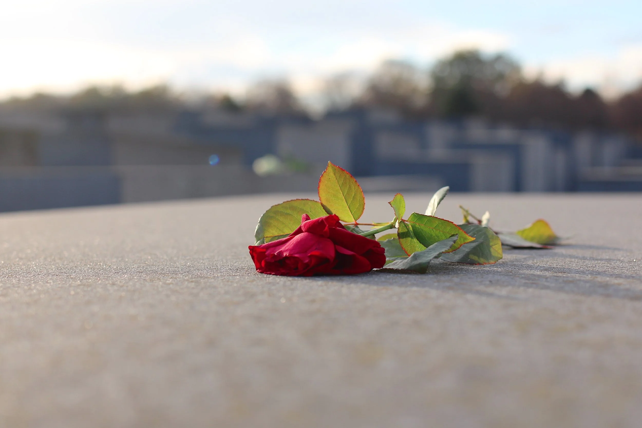 berlinmemorialtothemurderedjewsofeurope.JPG