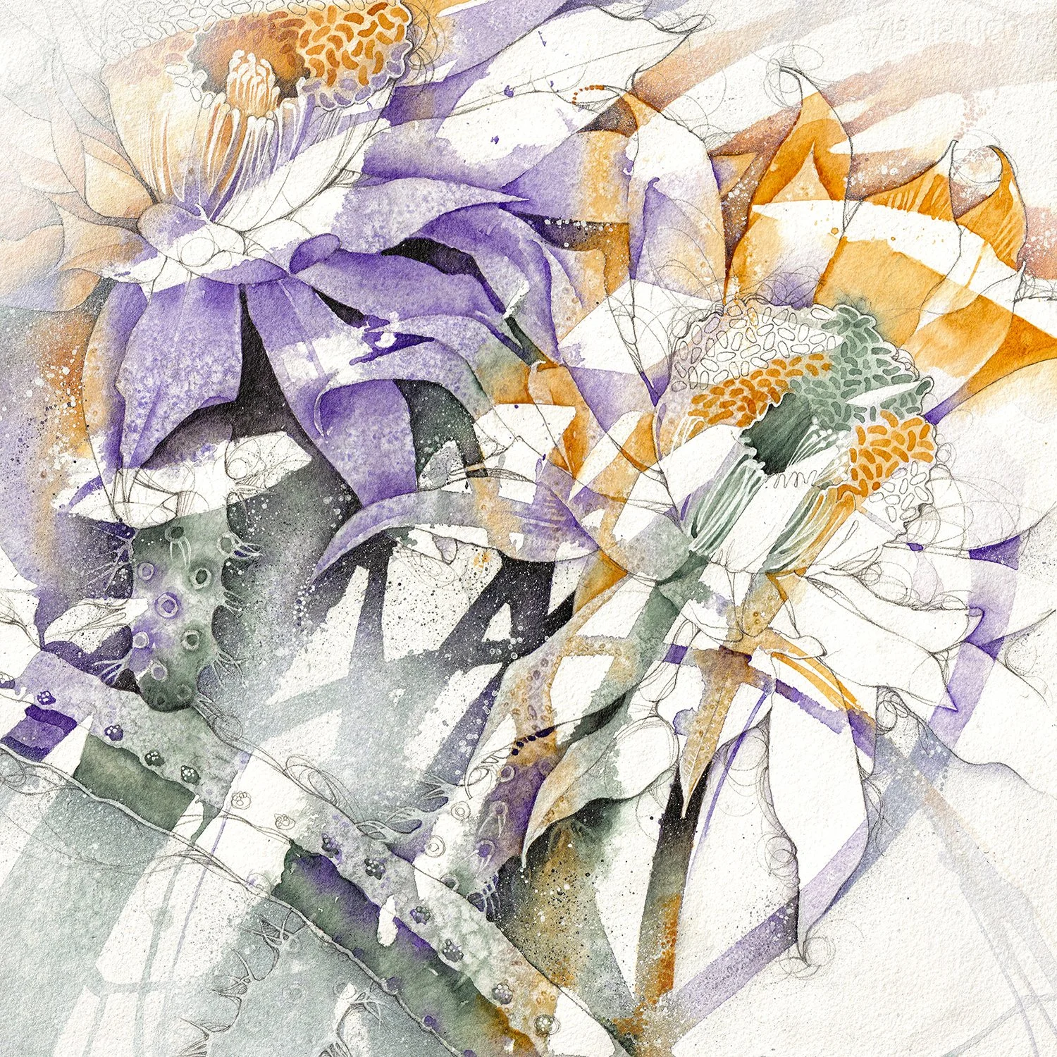 Synchrony 4