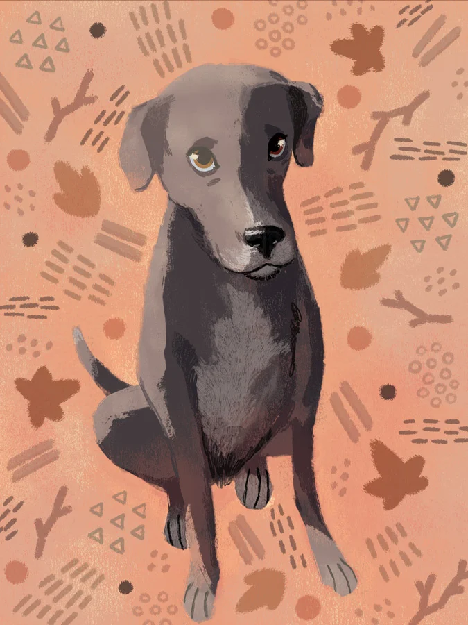 bigs-dog.jpg