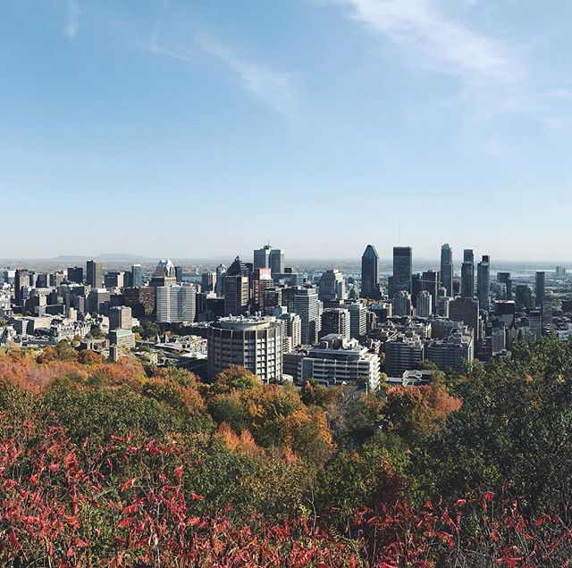 Bienvenue &agrave; Montr&eacute;al | 🏙