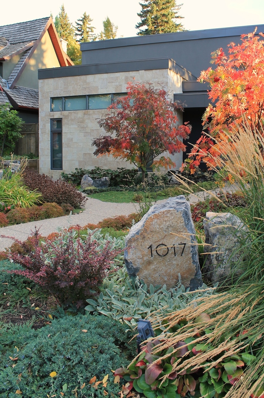 FALL LANDSCAPE