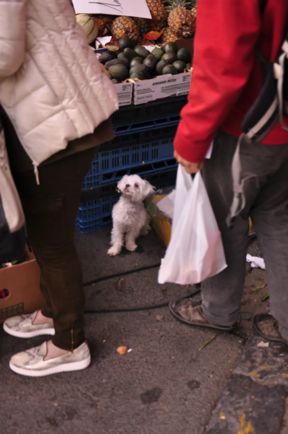 2015-05-27 11.51.47.jpg