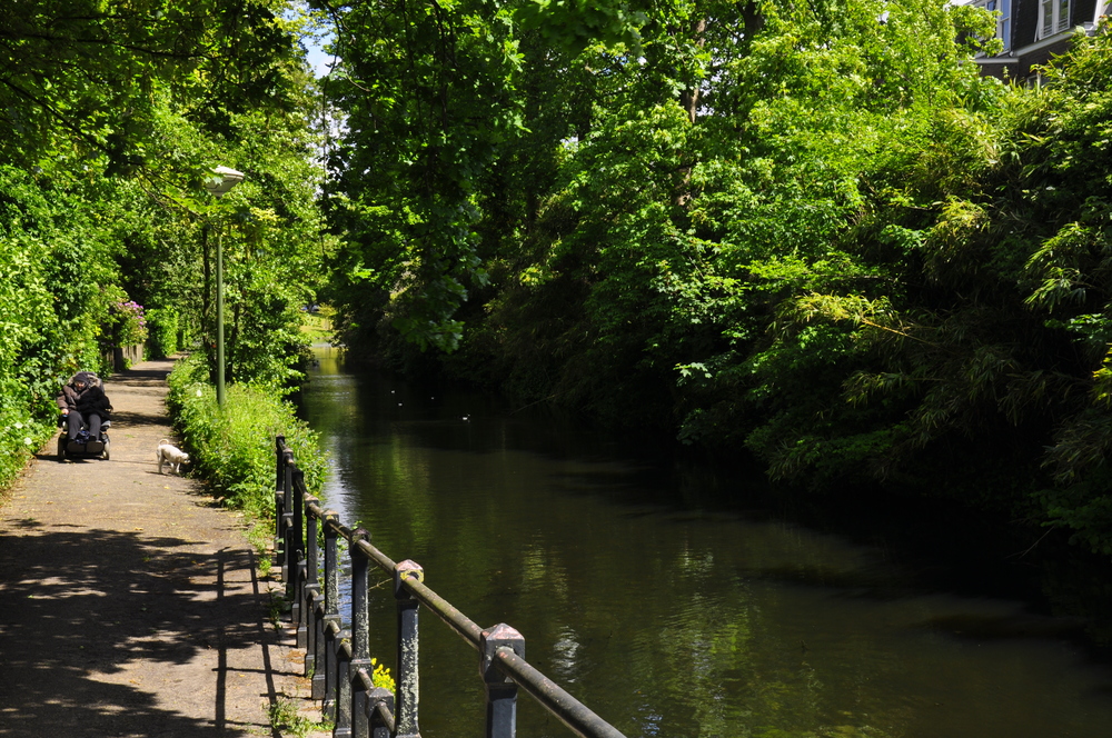 2015-05-30 08.29.16.jpg