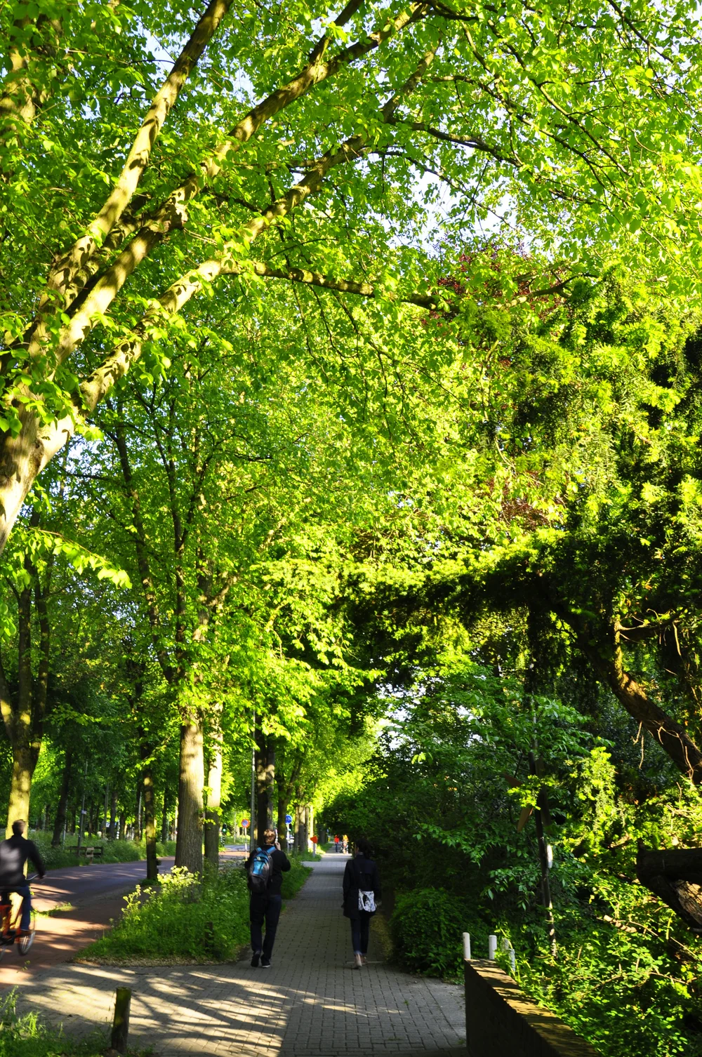 2015-05-30 13.55.38.jpg