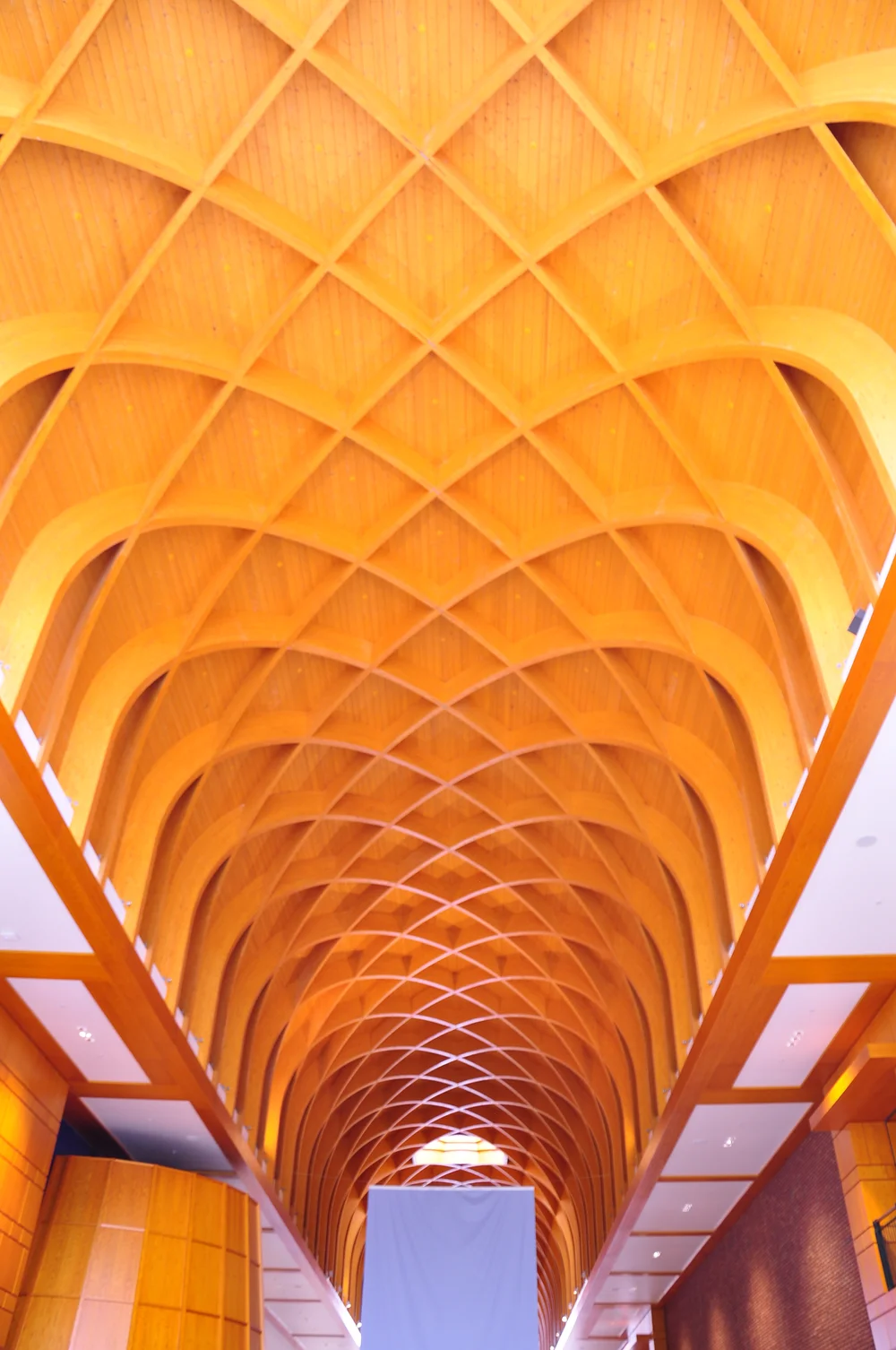 2015-05-31 08.11.06.jpg